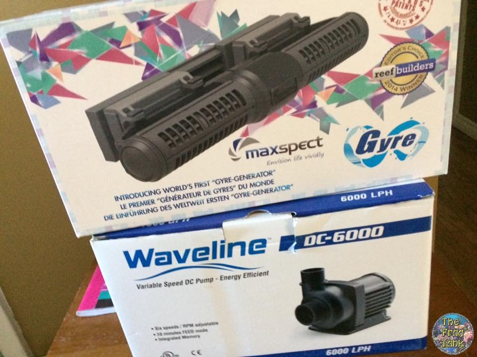 1044640_10153967562747114_2860629089417714601_n.jpg