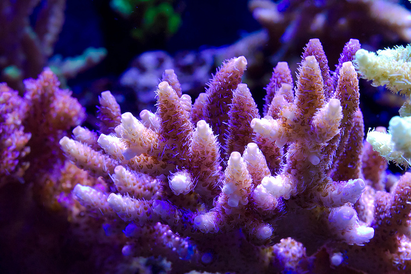 11215820614_7d863e8fa8_c.jpg