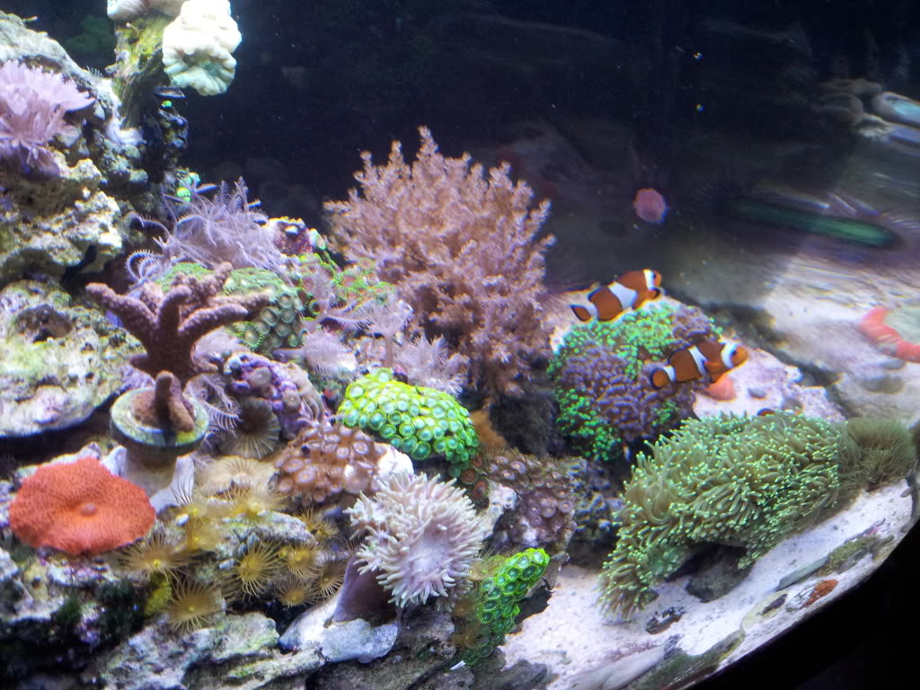 20130115_074206.jpg