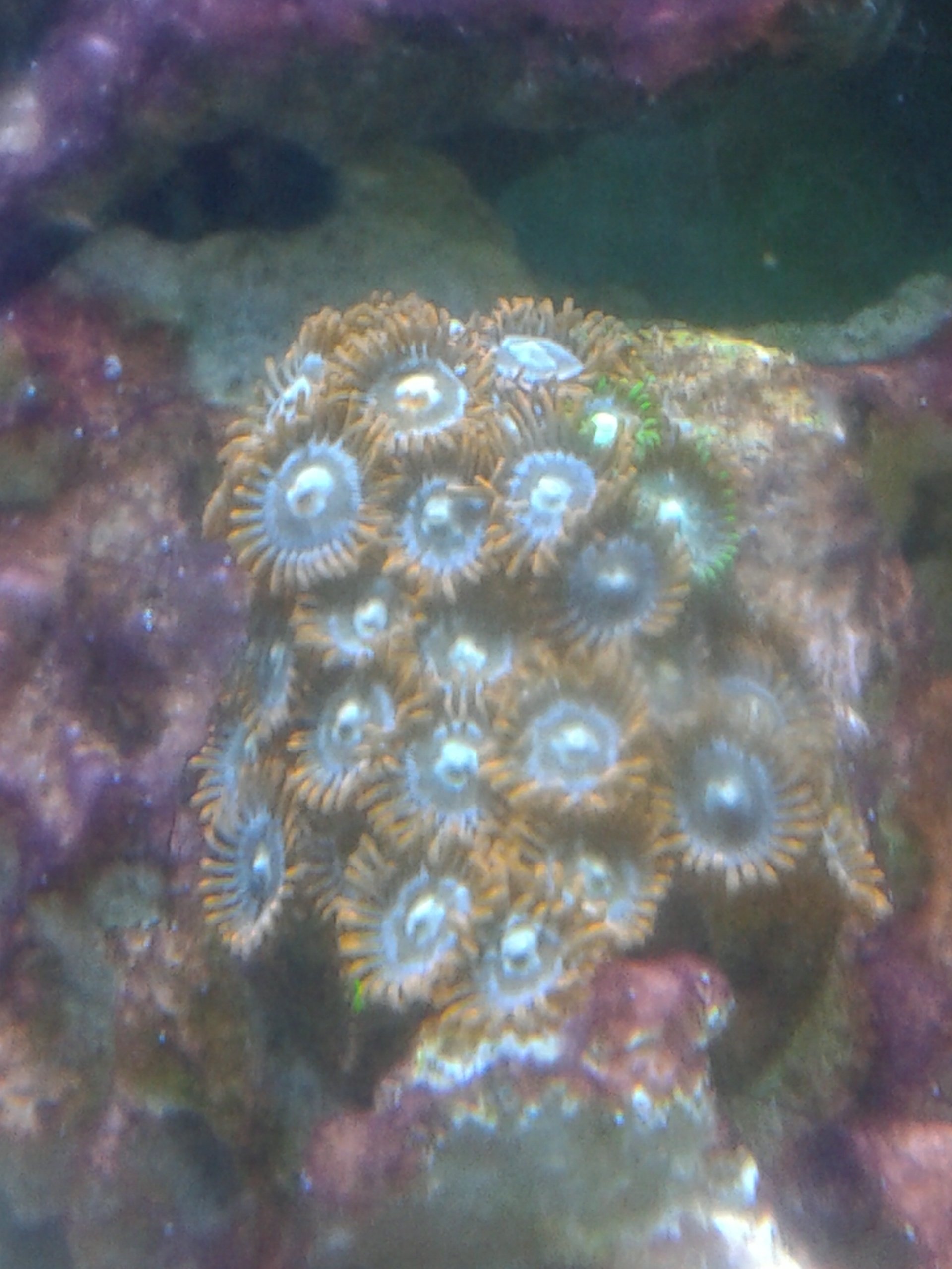 20140628_150831.jpg