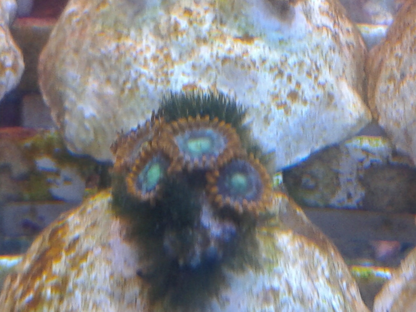 20140721_130304.jpg
