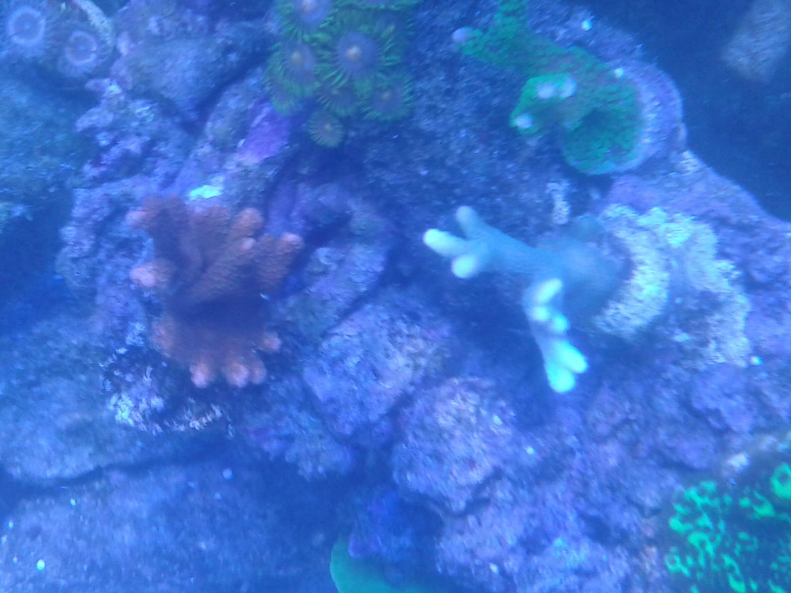 20140827_192443.jpg