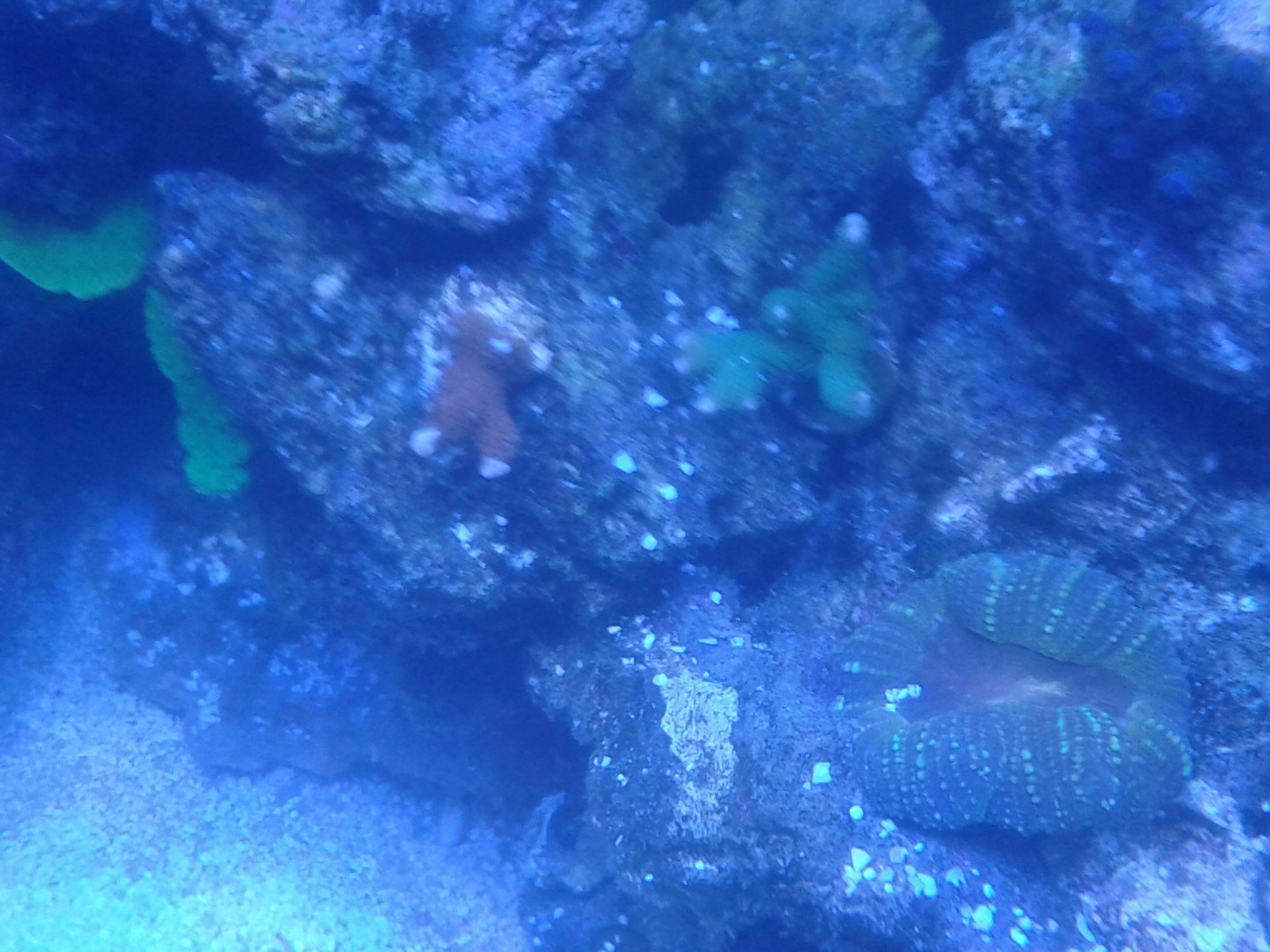20140827_192506.jpg