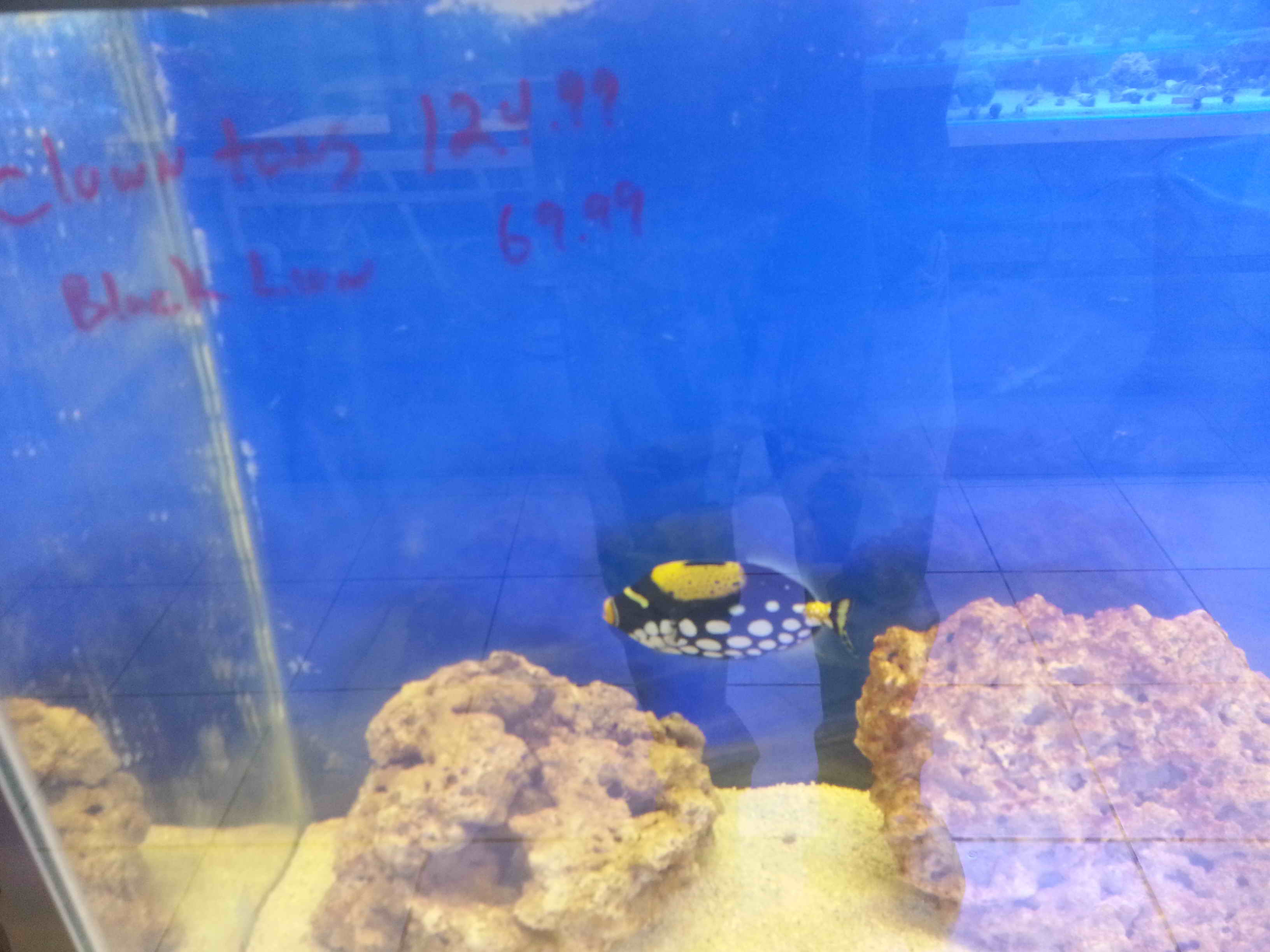 20140923_130111.jpg