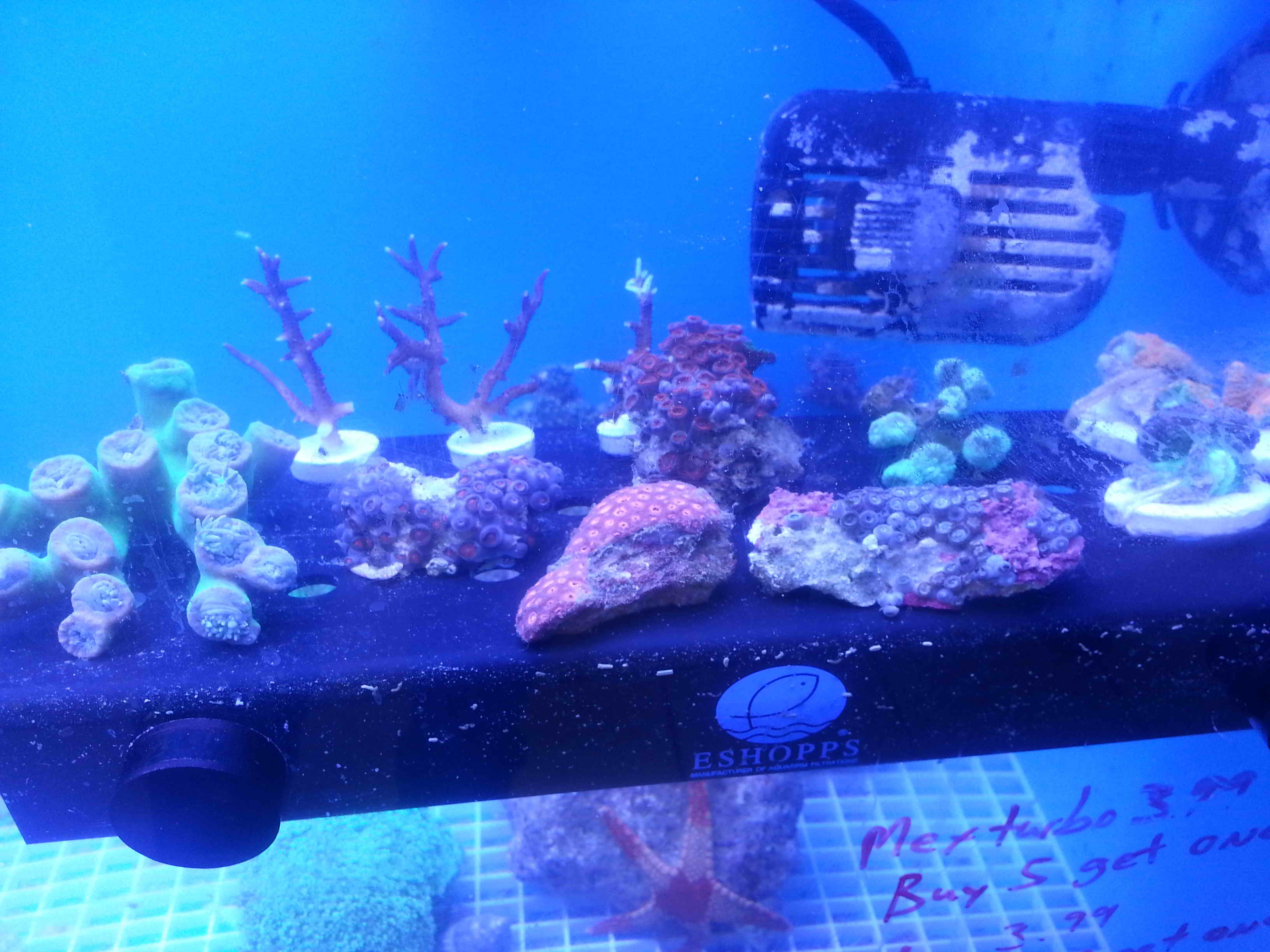 20140923_130131.jpg