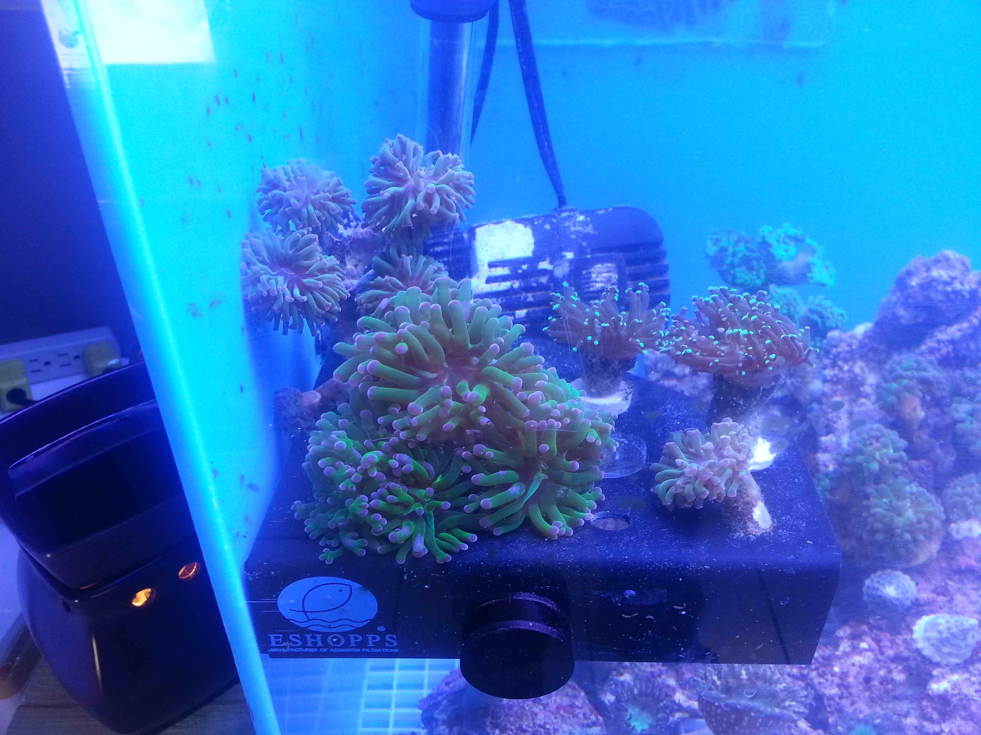 20140923_130136.jpg