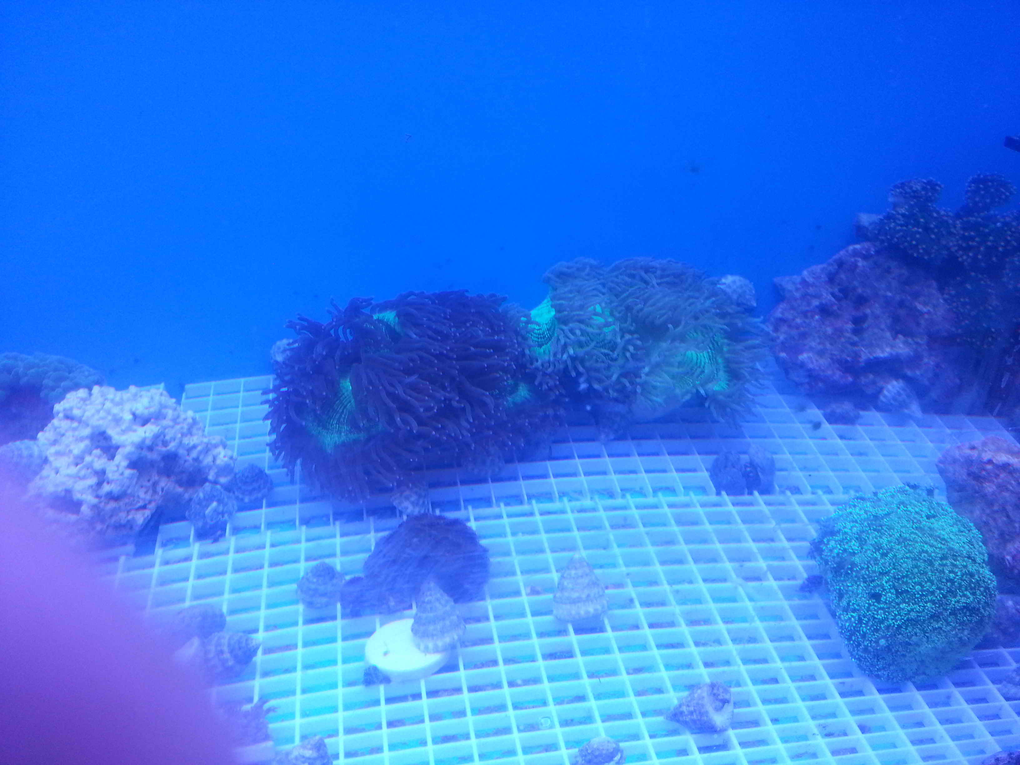 20140923_130150.jpg