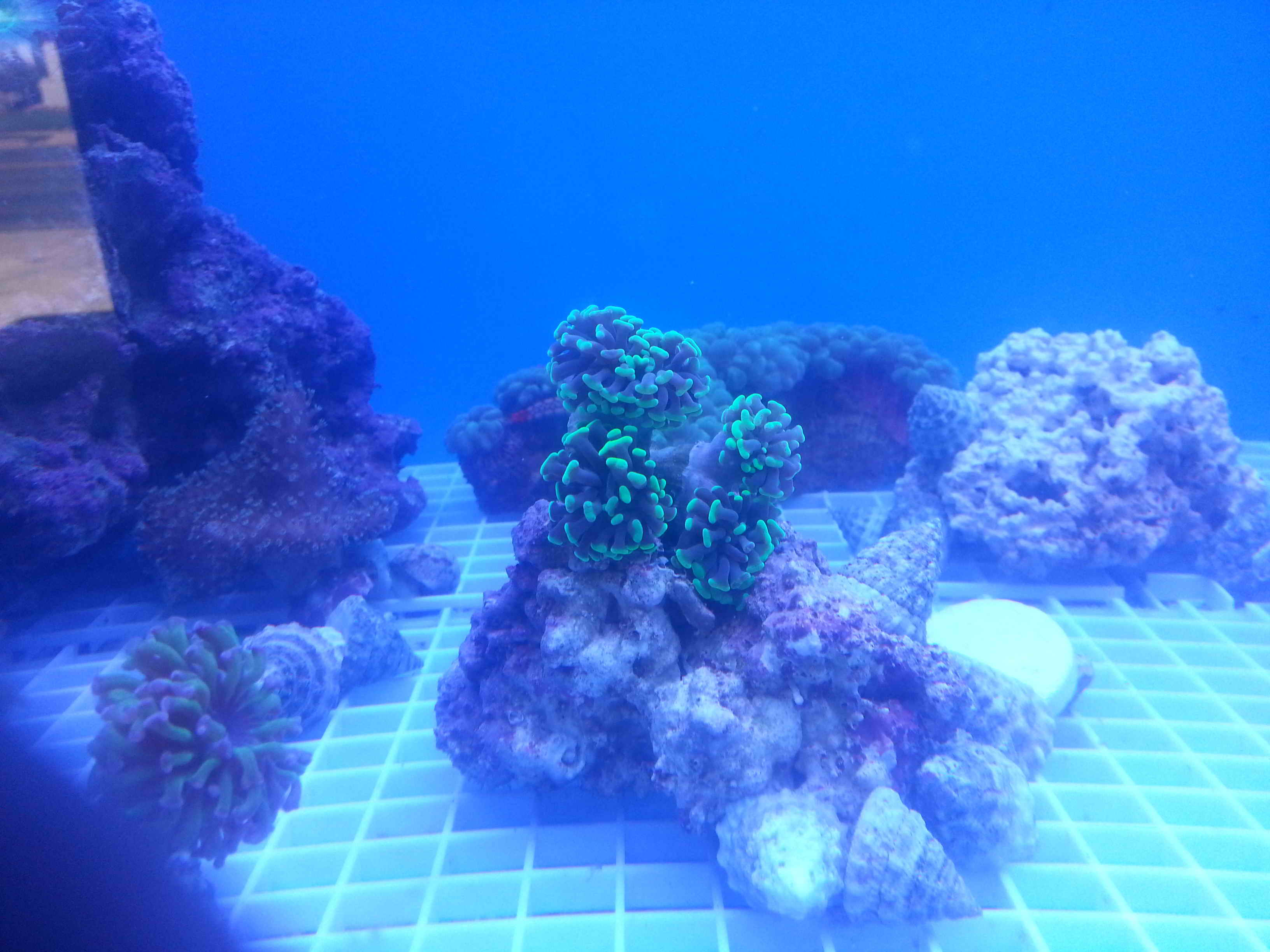 20140923_130158.jpg