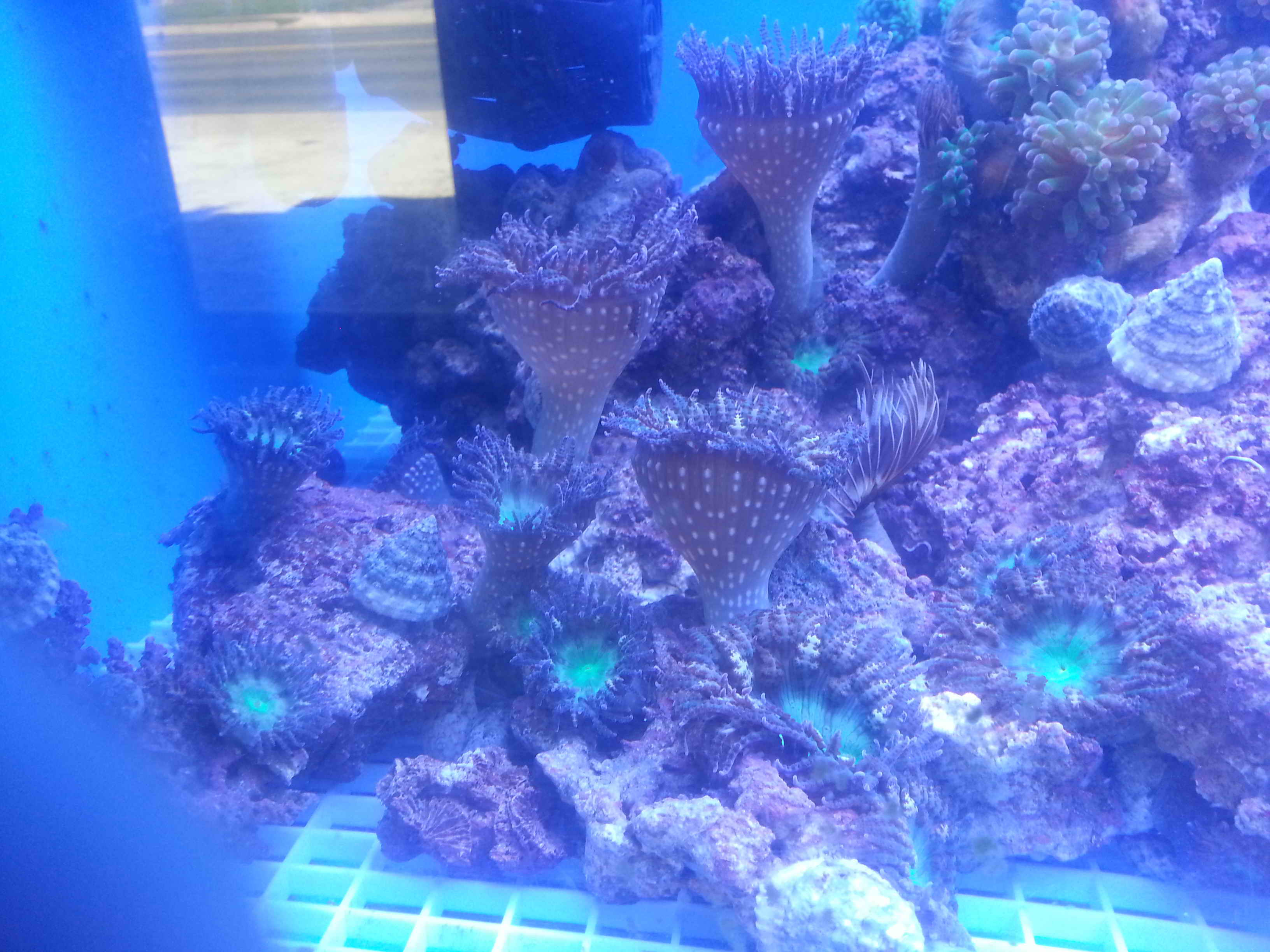 20140923_130203.jpg