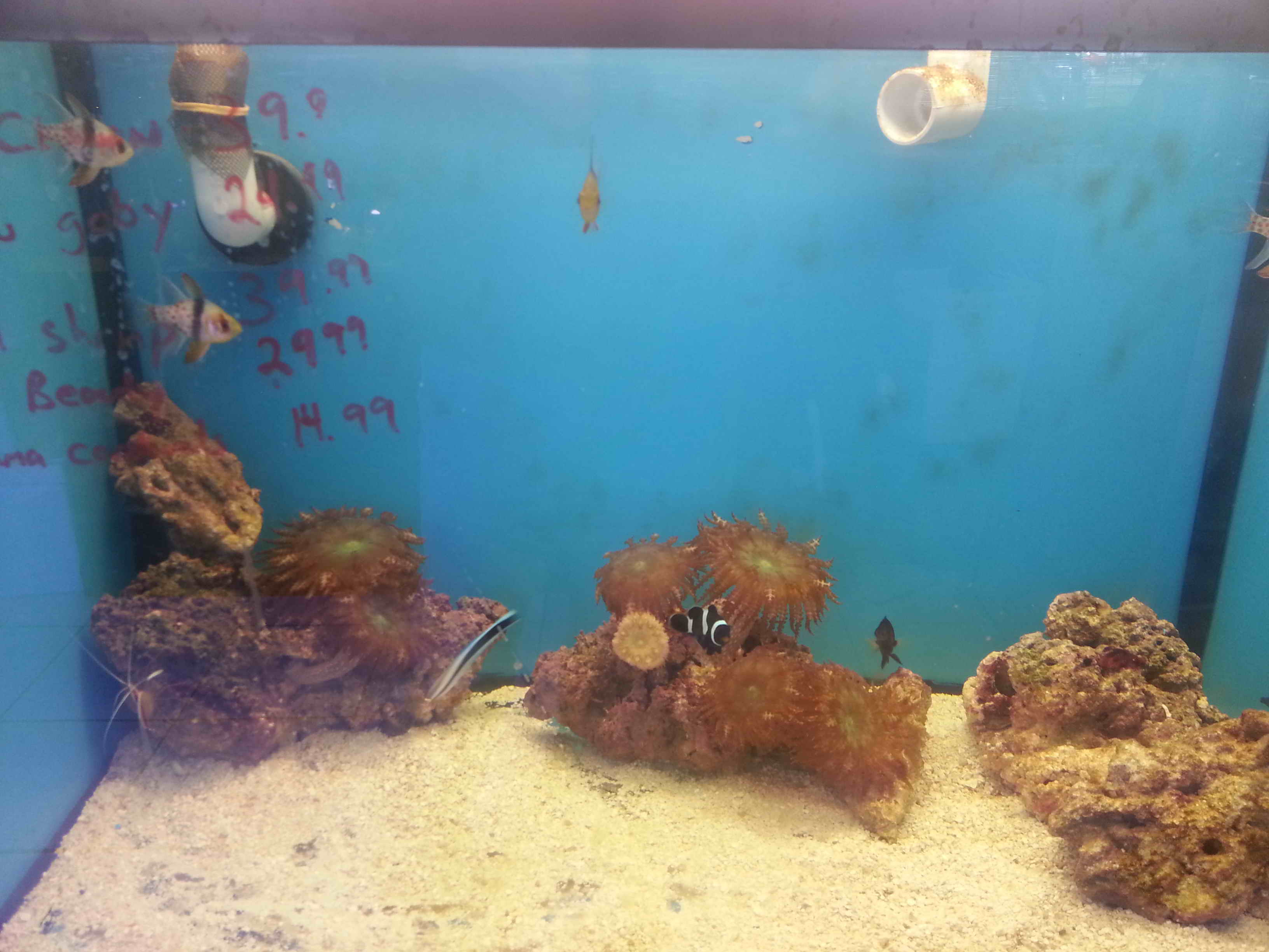 20140923_130220.jpg