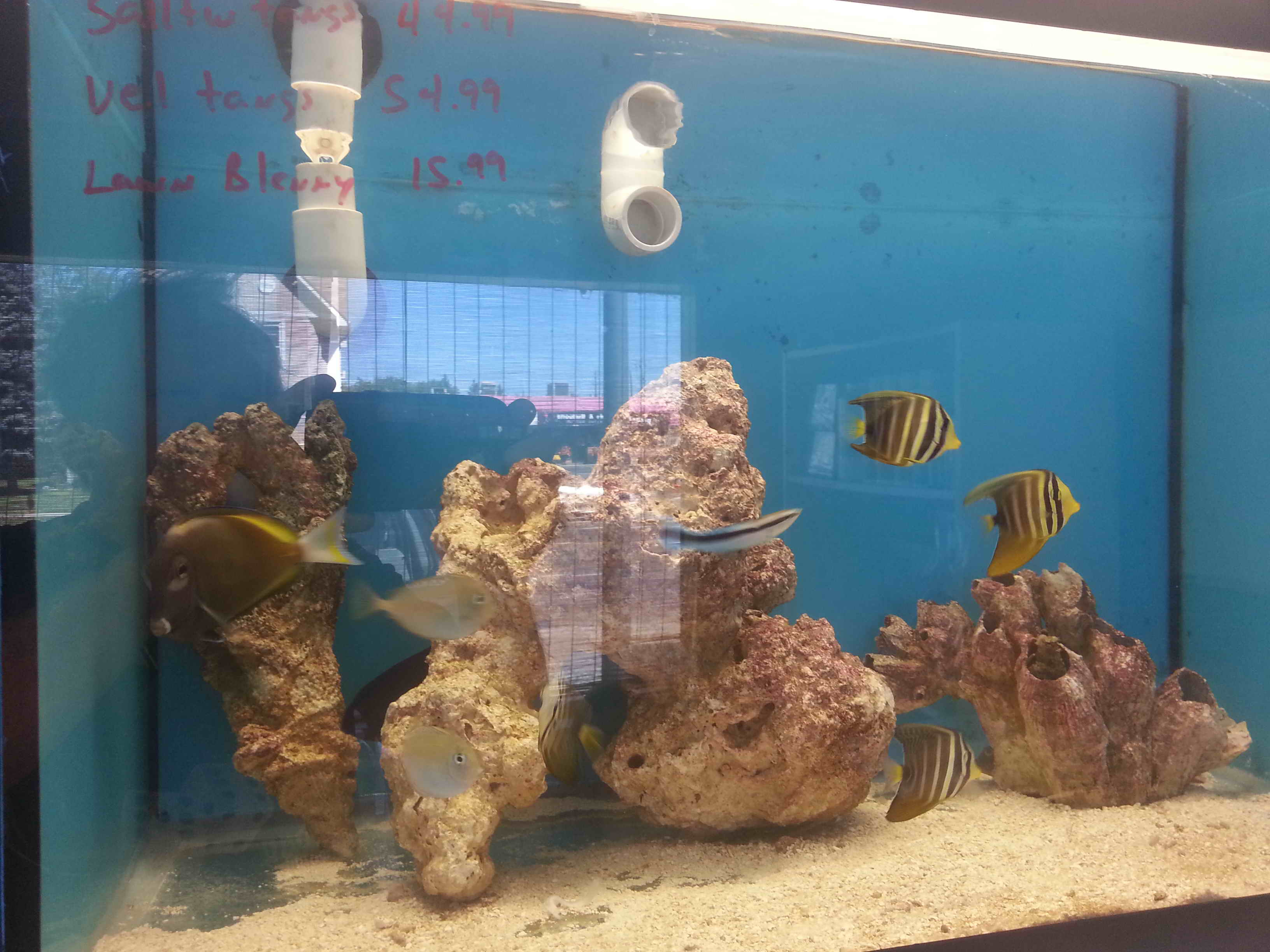 20140923_130332.jpg