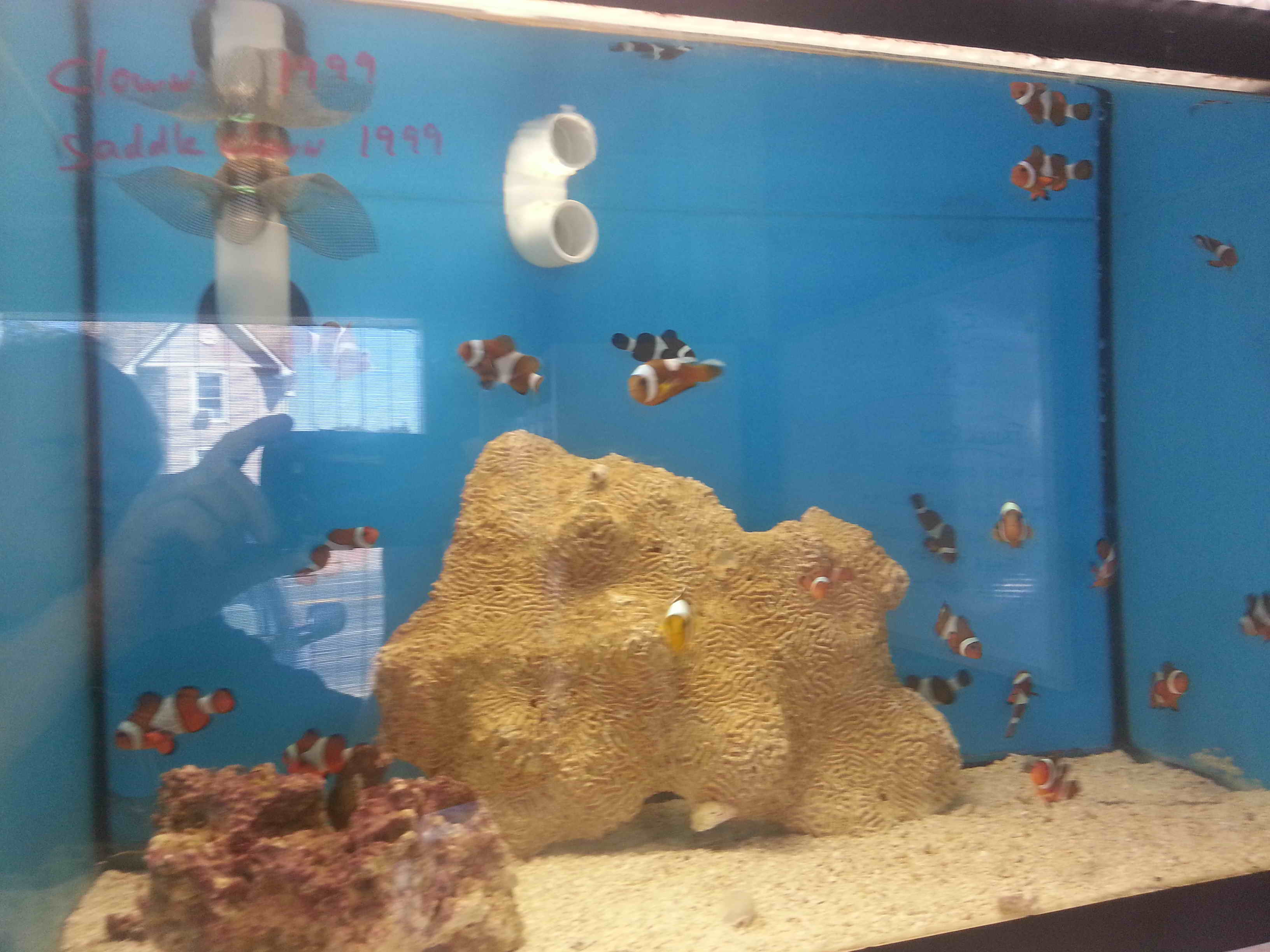 20140923_130338.jpg