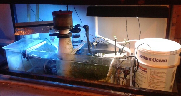 20141110_200439-1.jpg