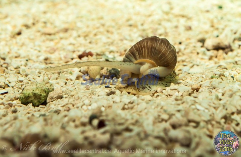20150824-_DSC0096 (copy).jpg