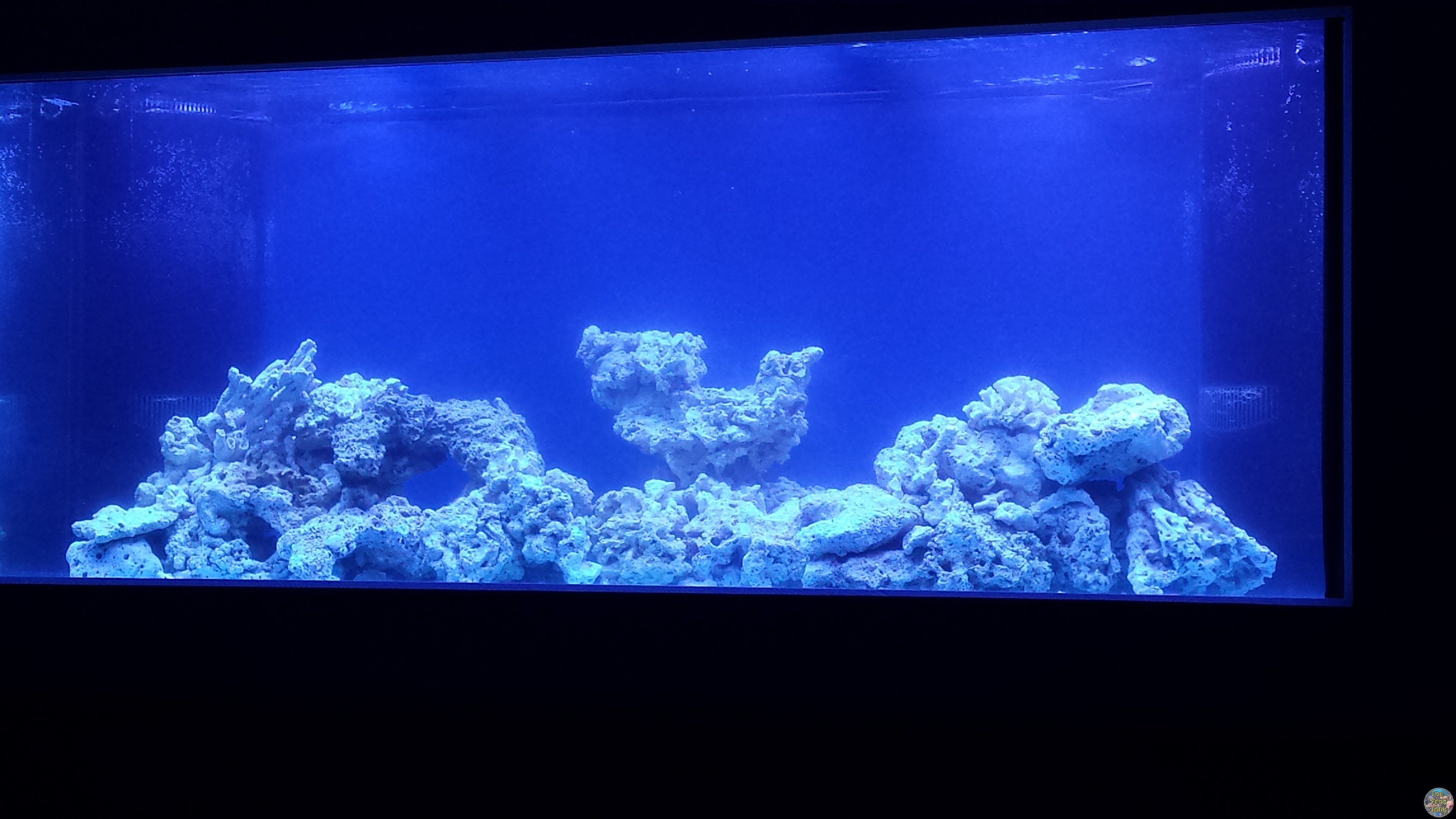 20160127_002025.jpg