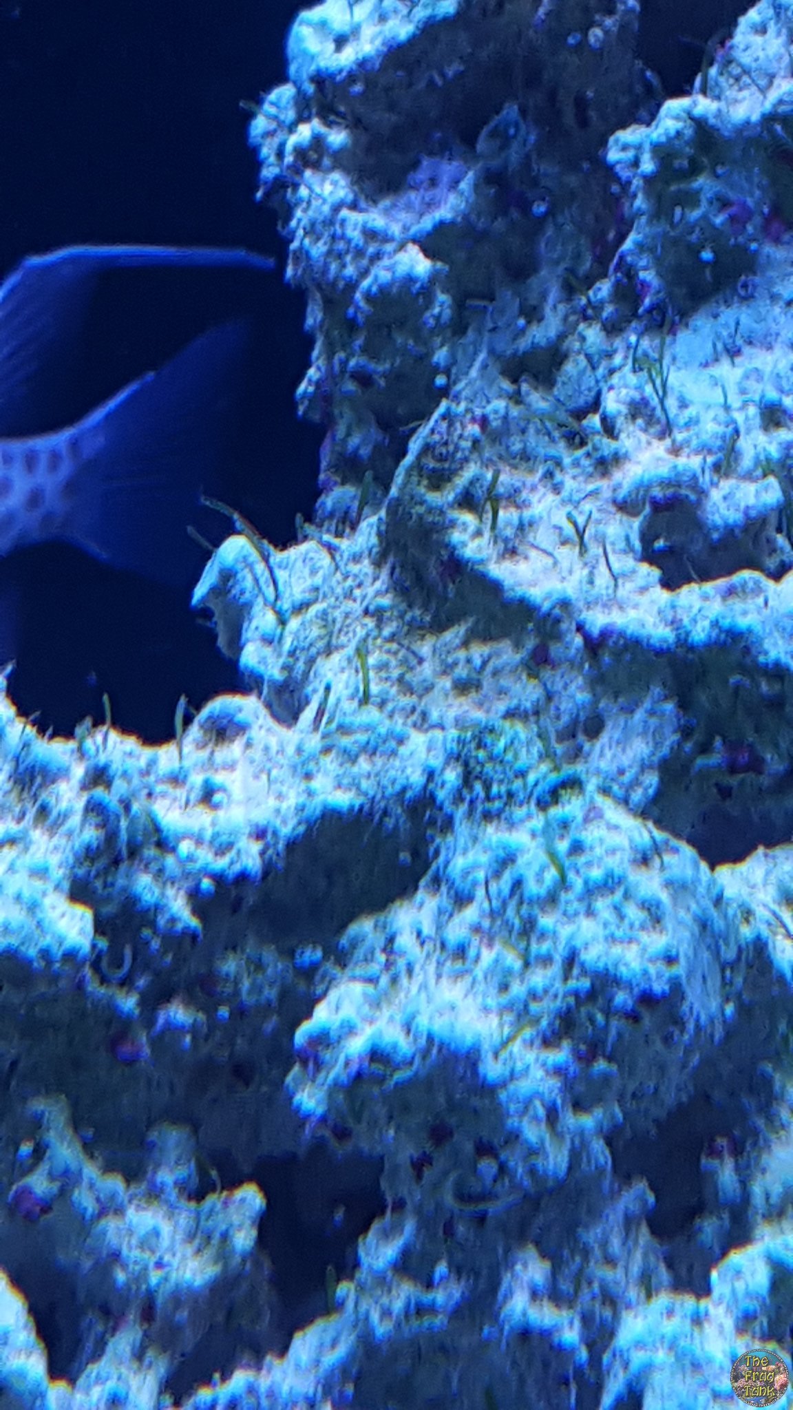 20160209_175026.jpg