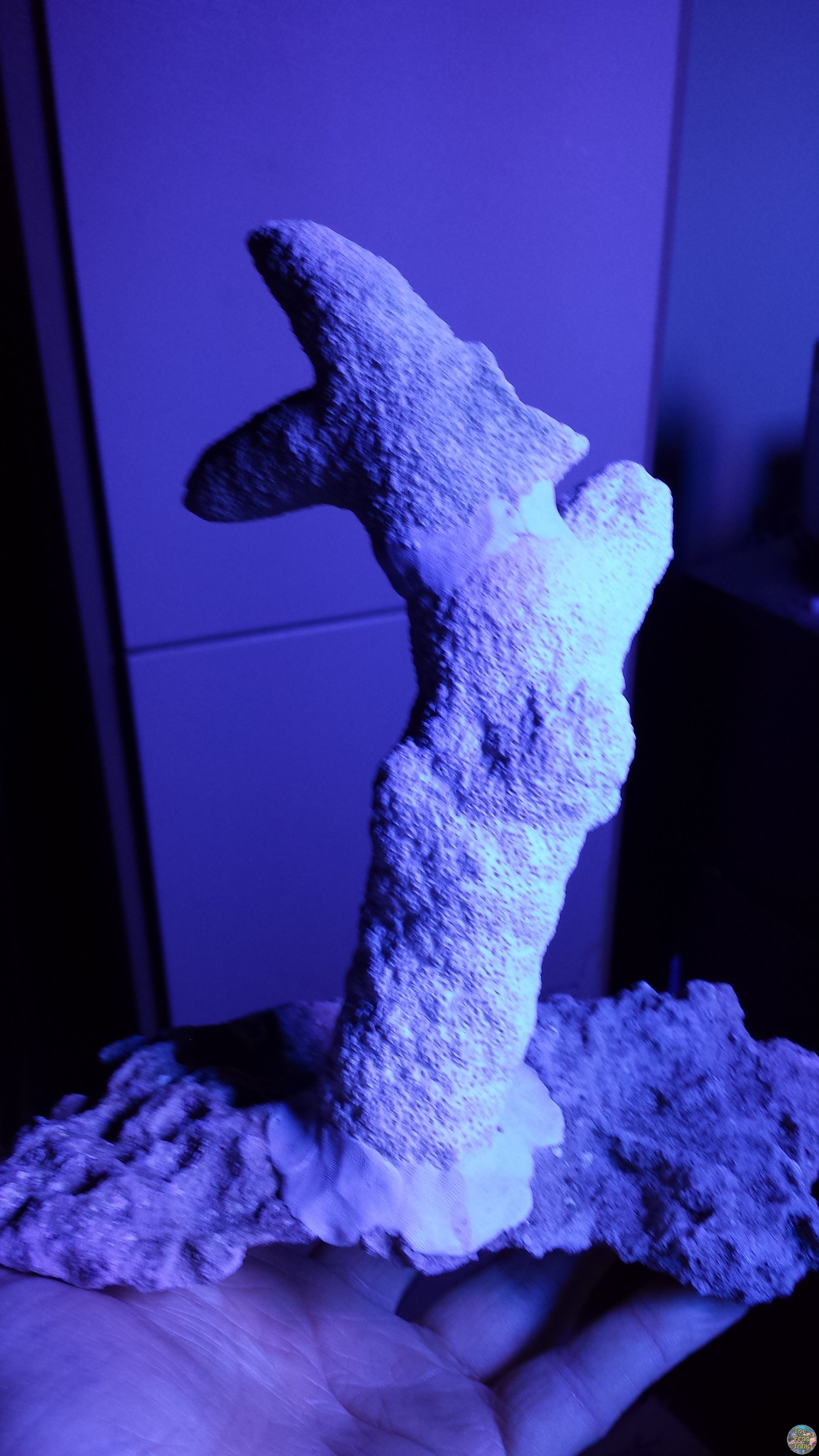 20160217_205152.jpg