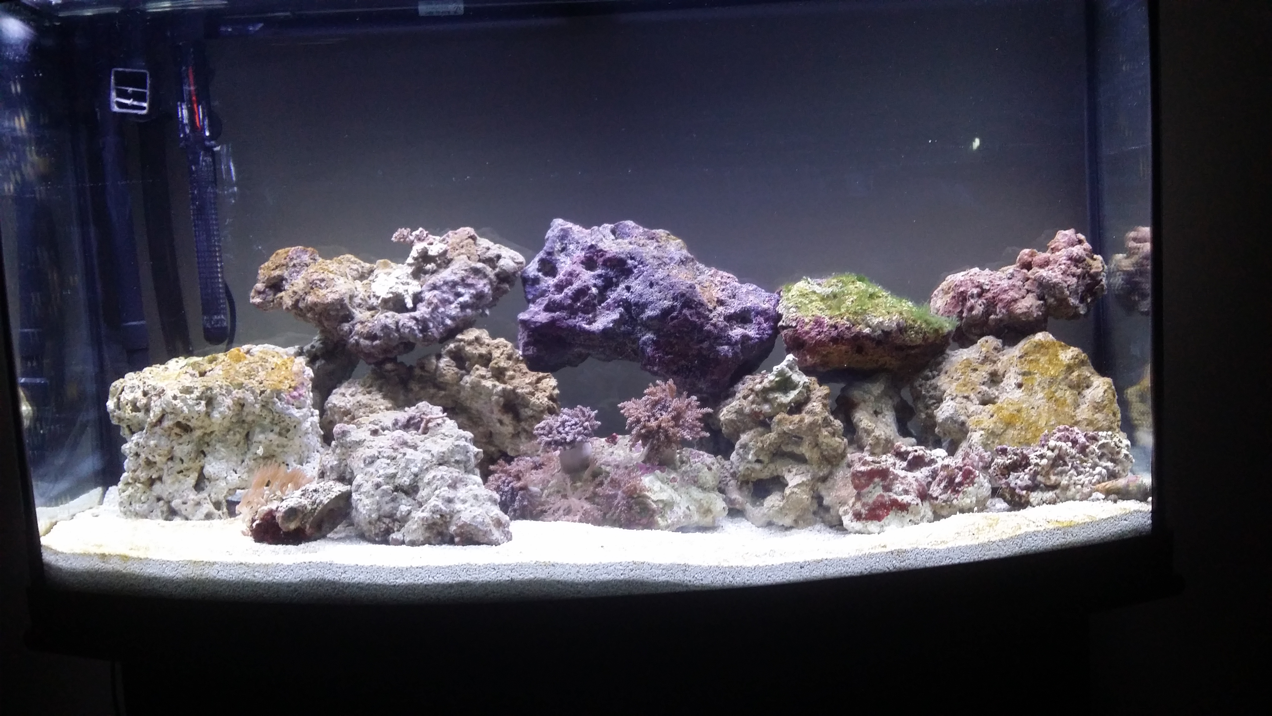 20160312_211153.jpg