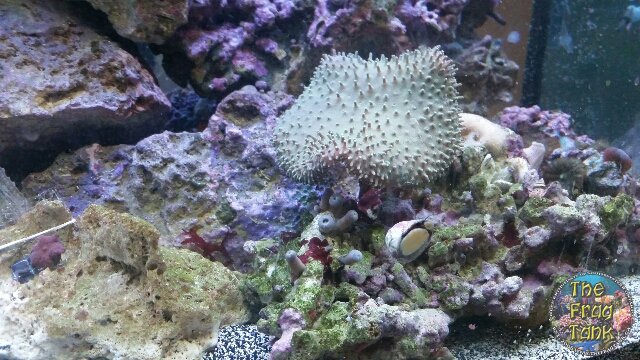 20160621_160602.jpg