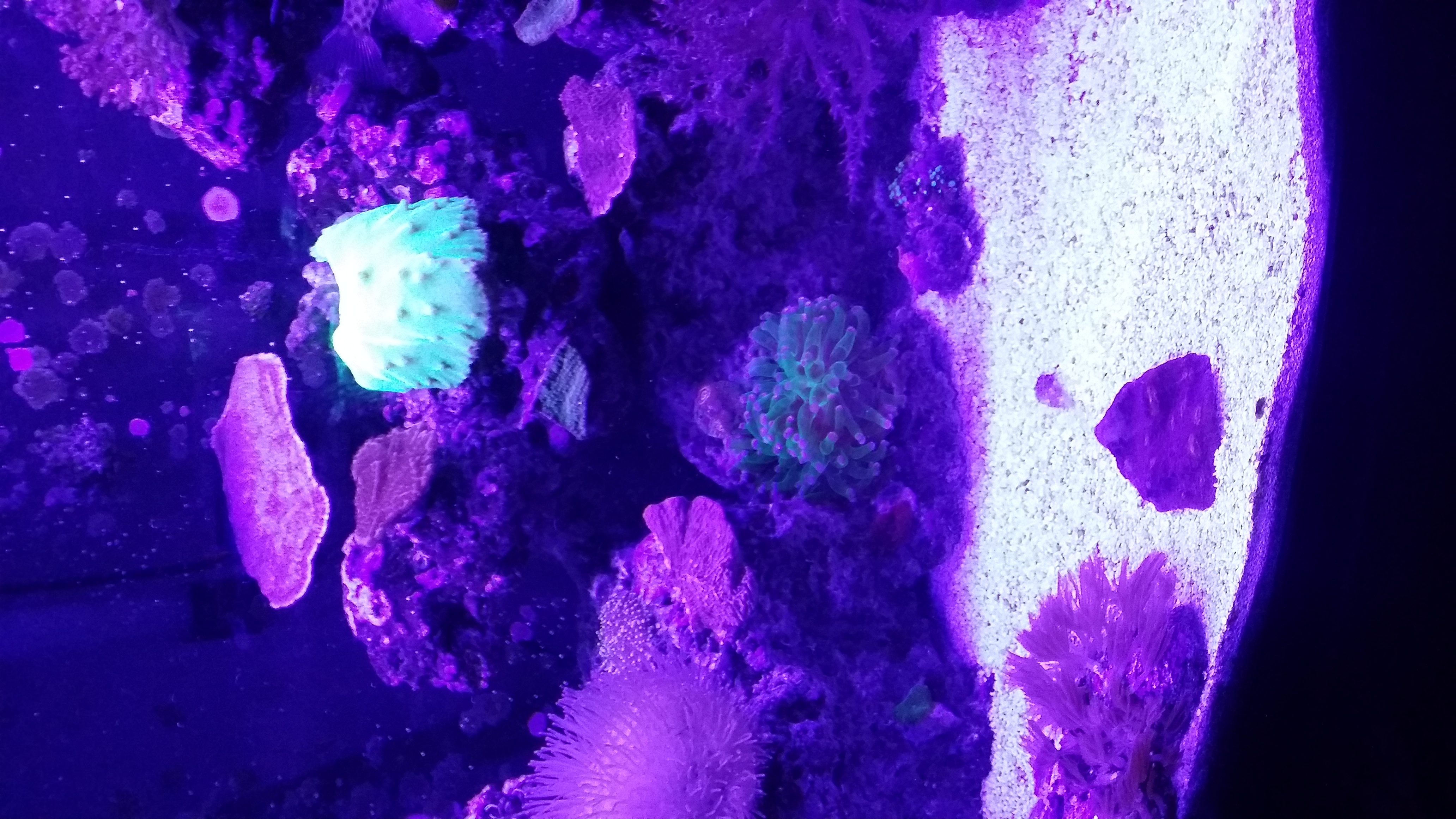 20160917_201226.jpg