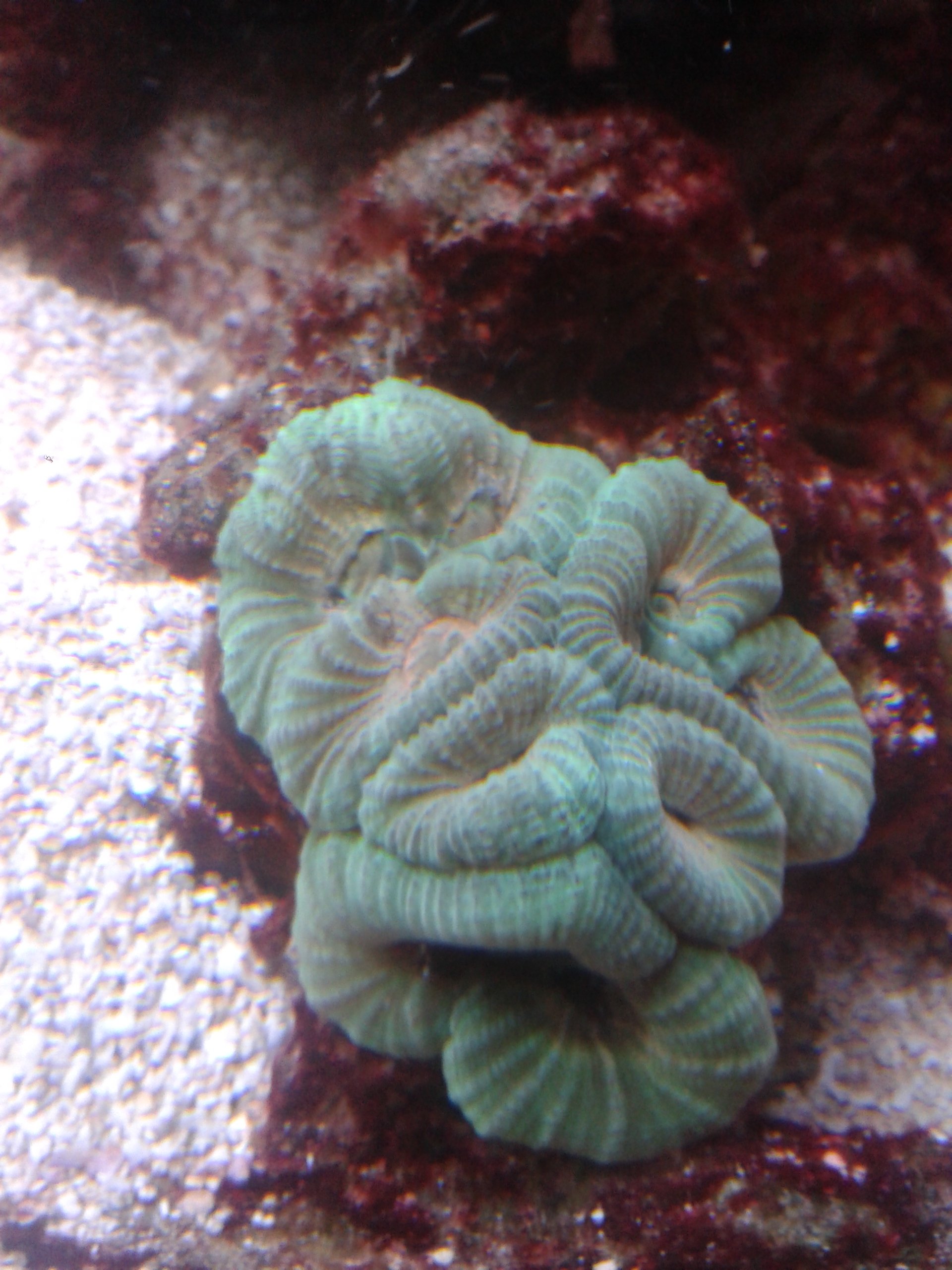 20161030_185357.jpg