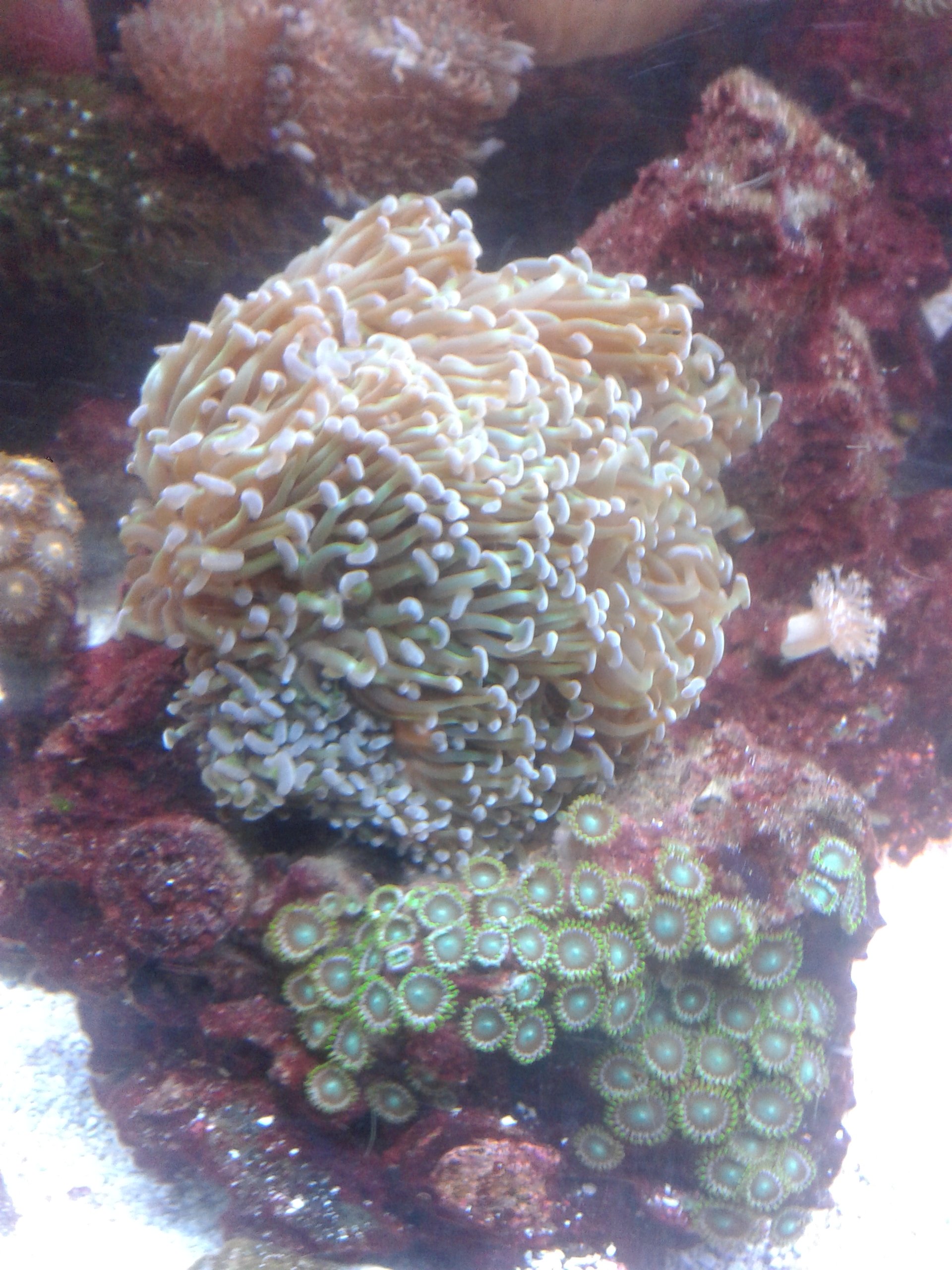 20161030_185406.jpg