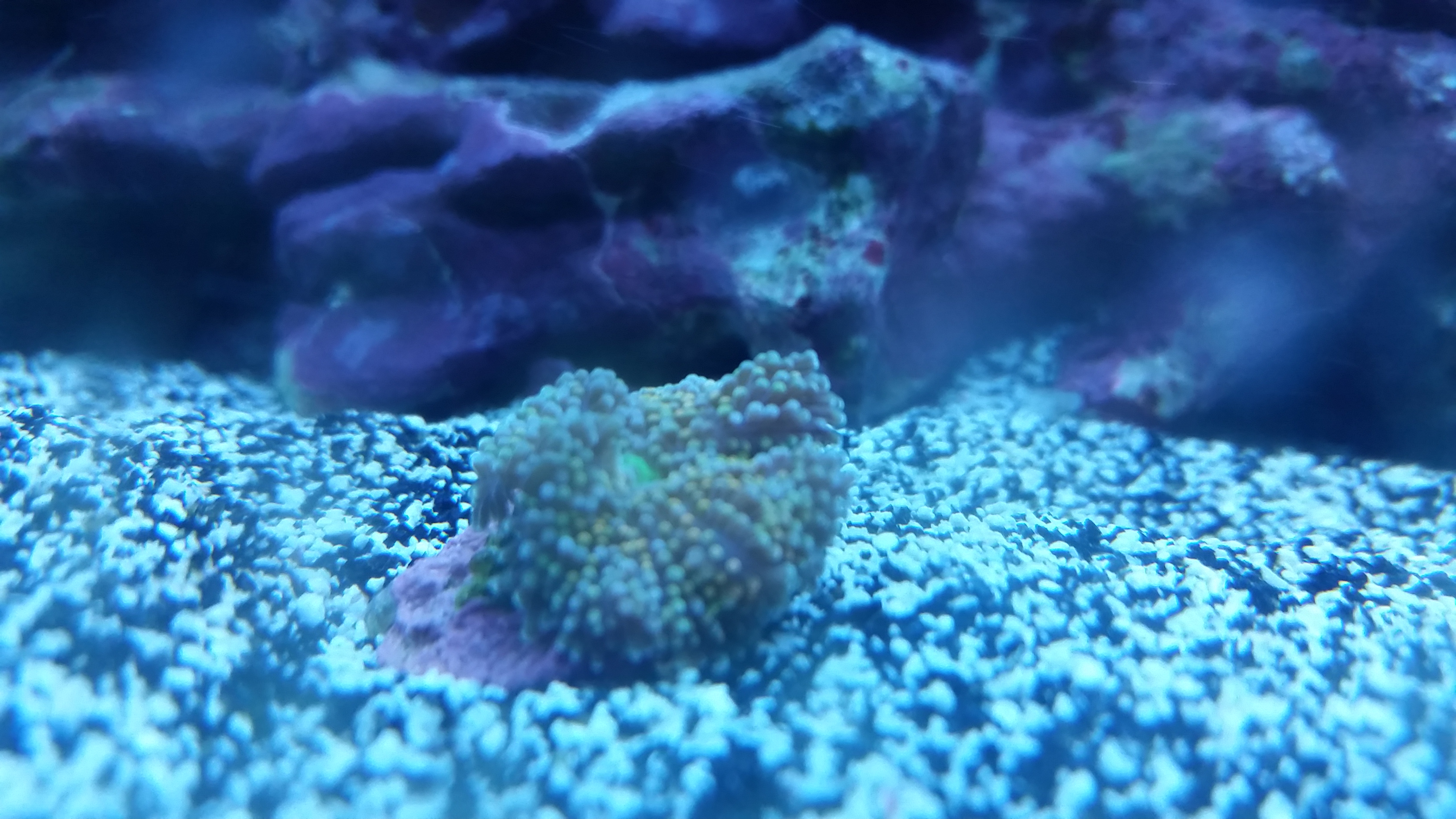 20161106_221925.jpg