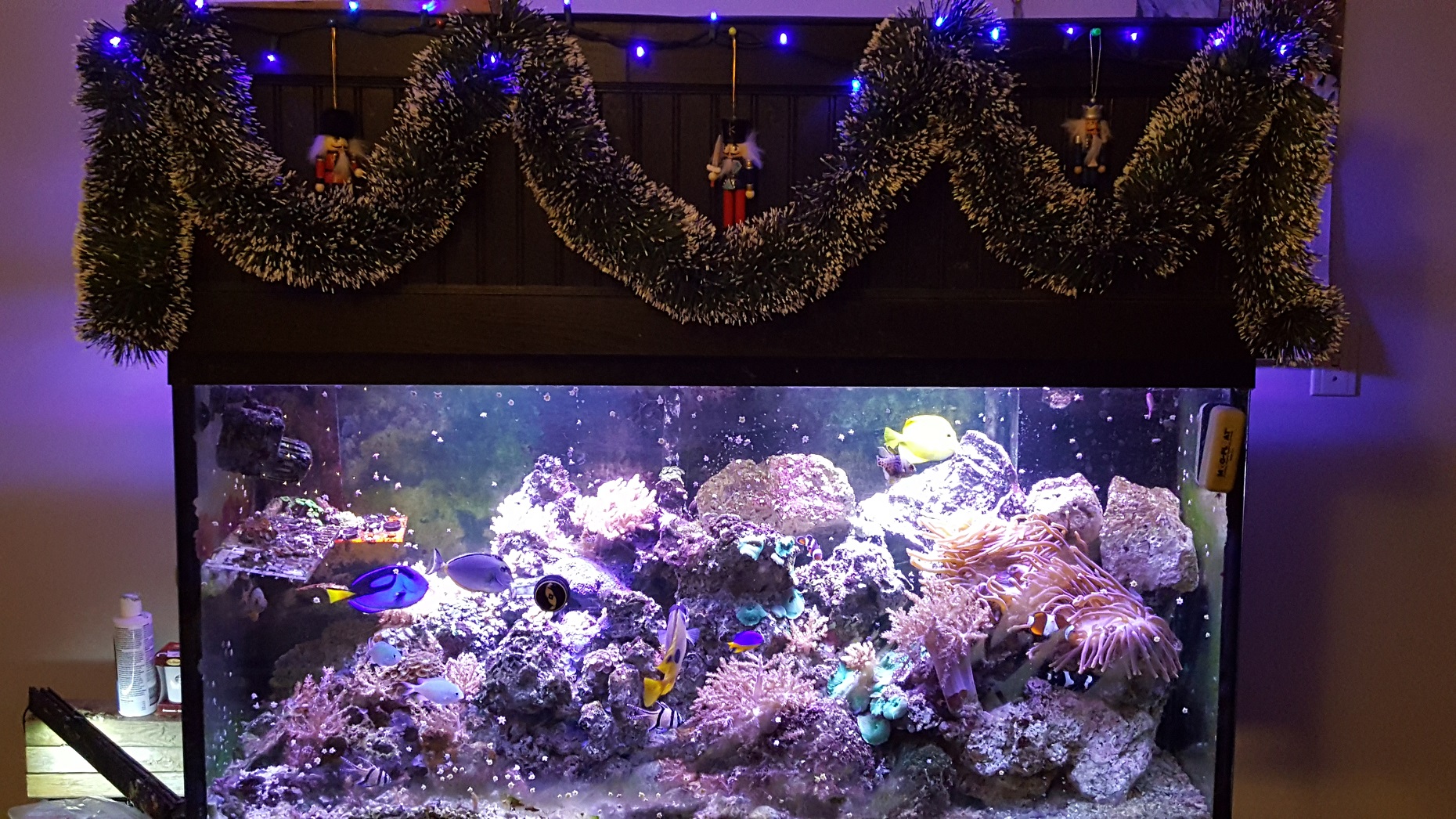 20161127_203451.jpg