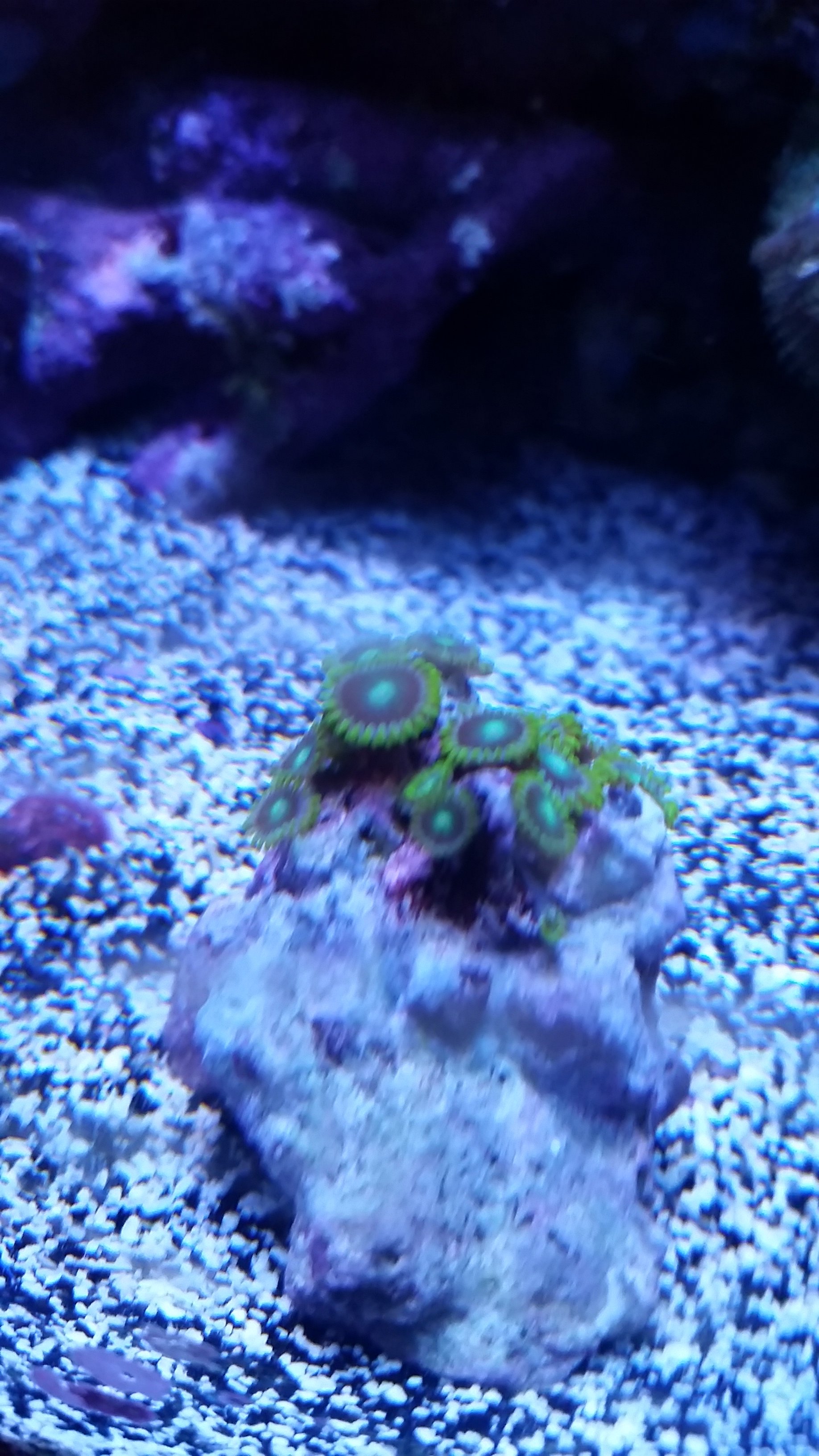 20161127_220930.jpg