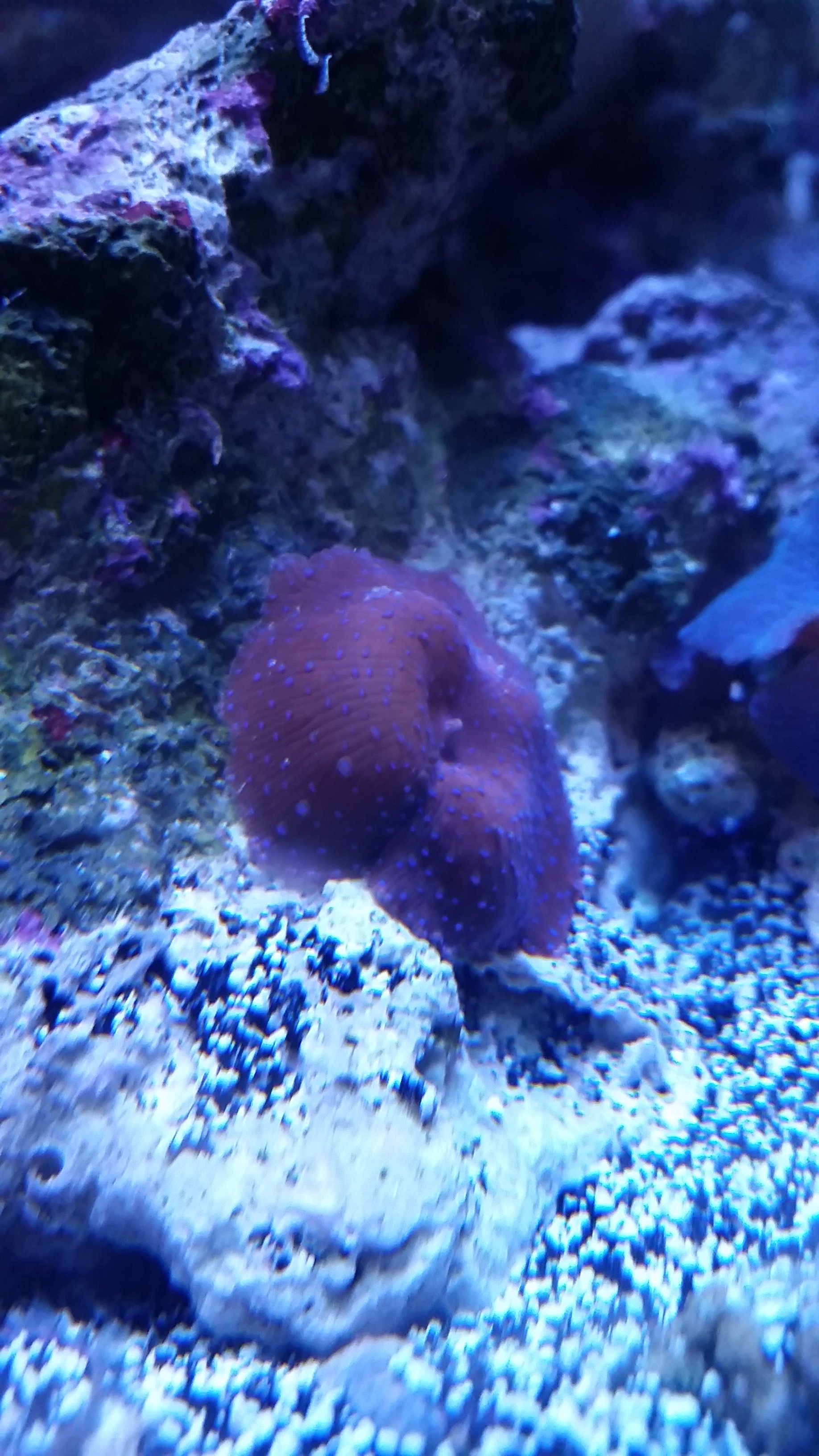 20161127_221049.jpg