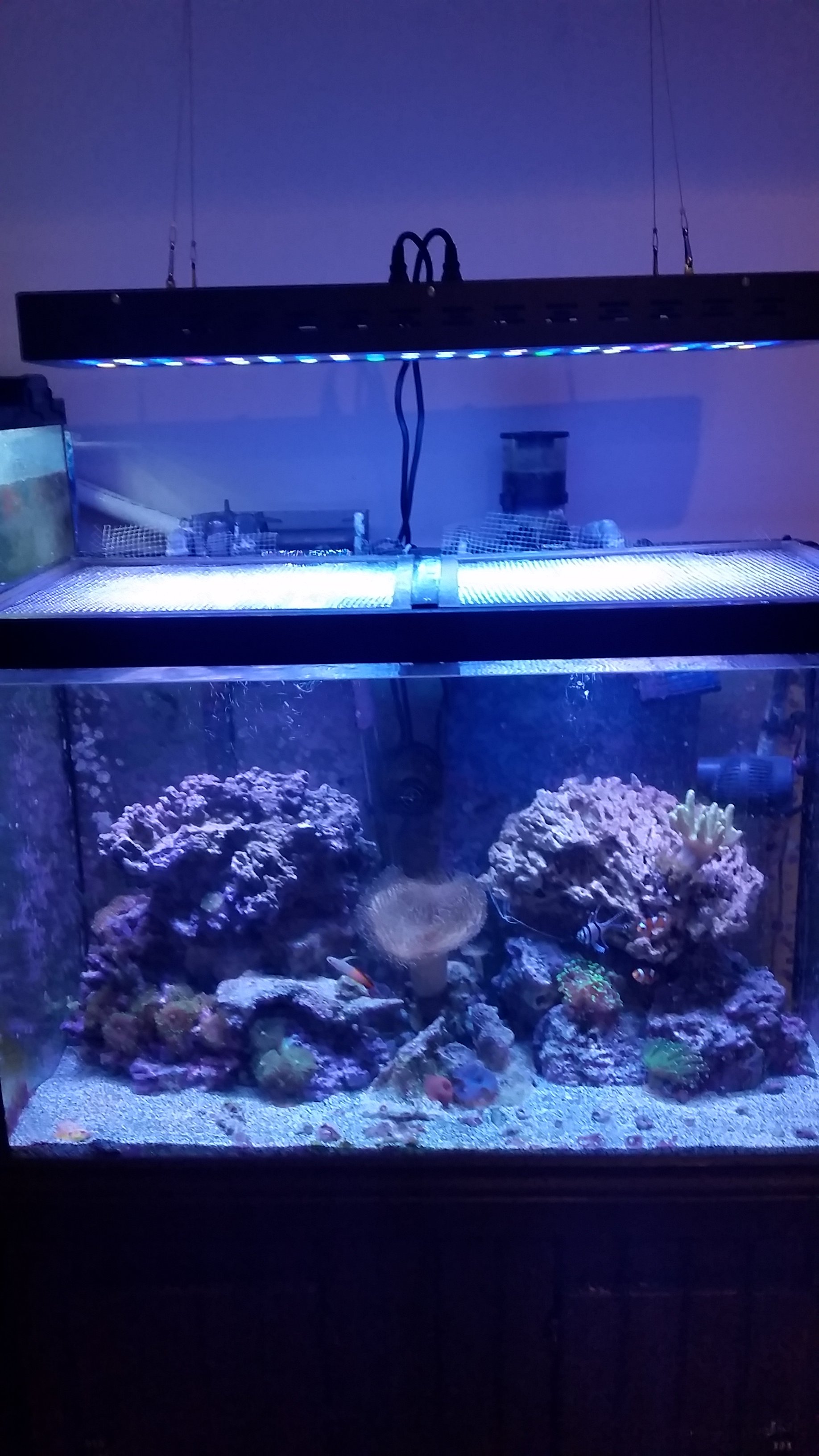 20161128_201516.jpg