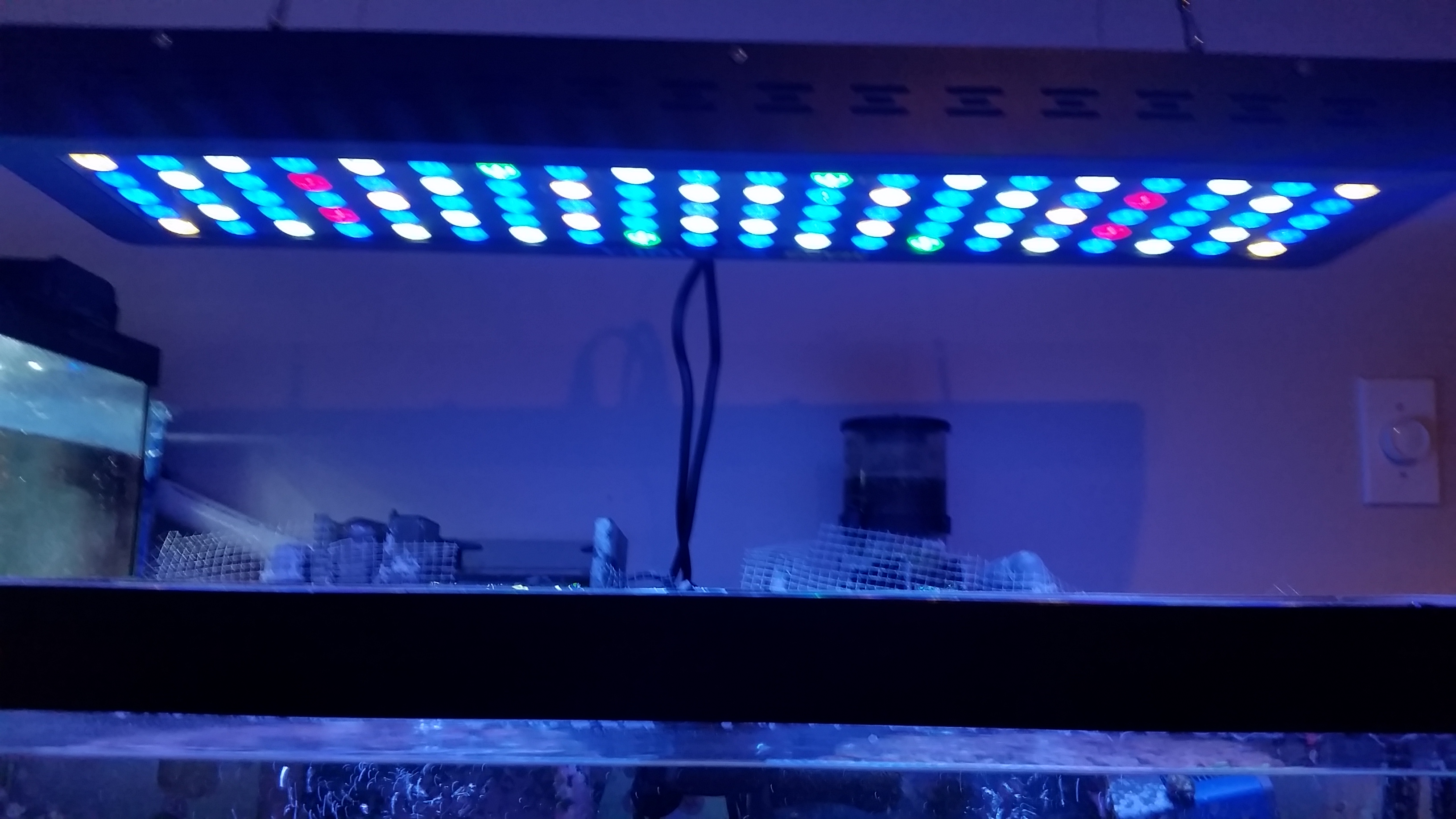 20161128_201525.jpg
