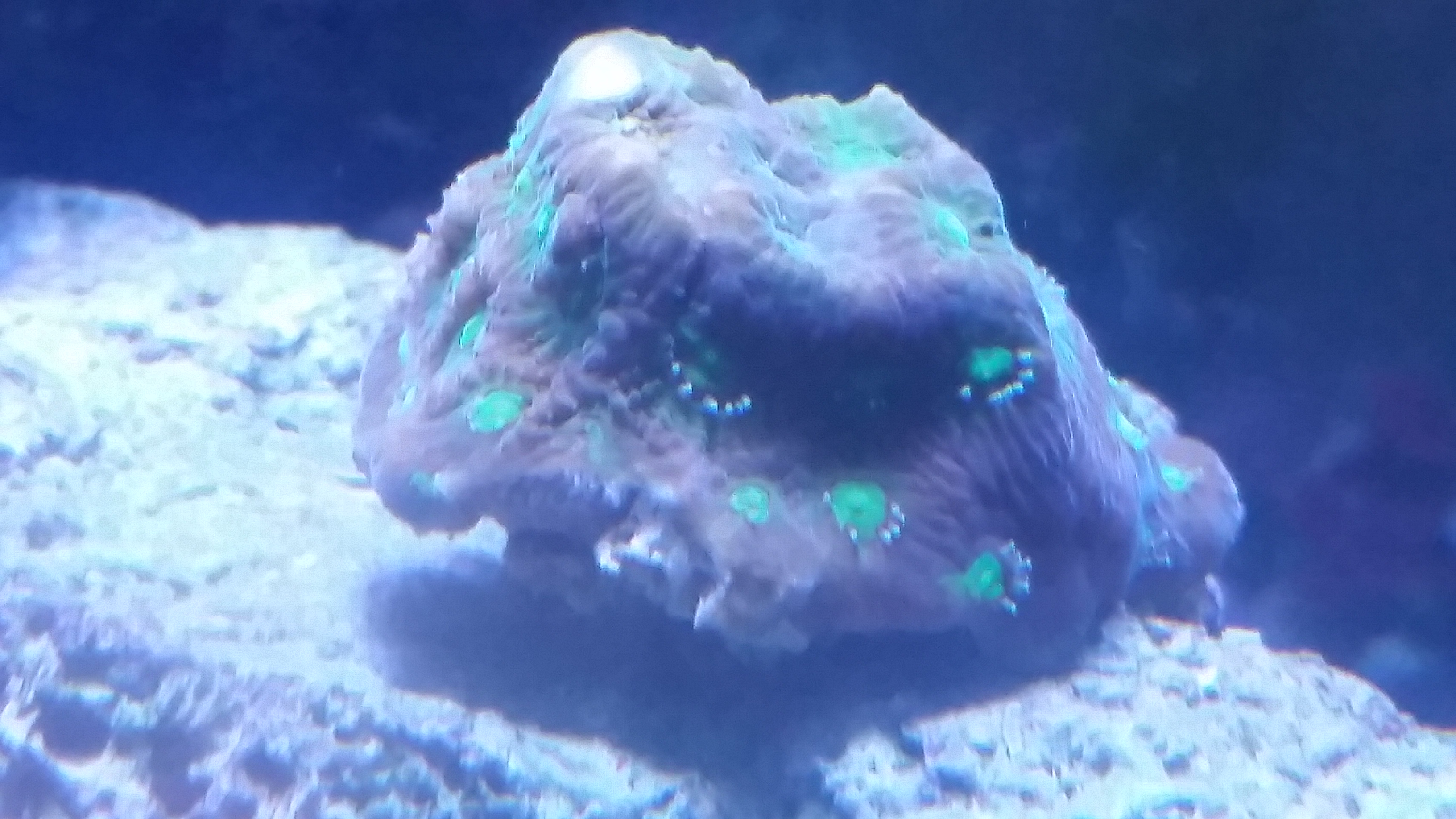 20161129_224618.jpg