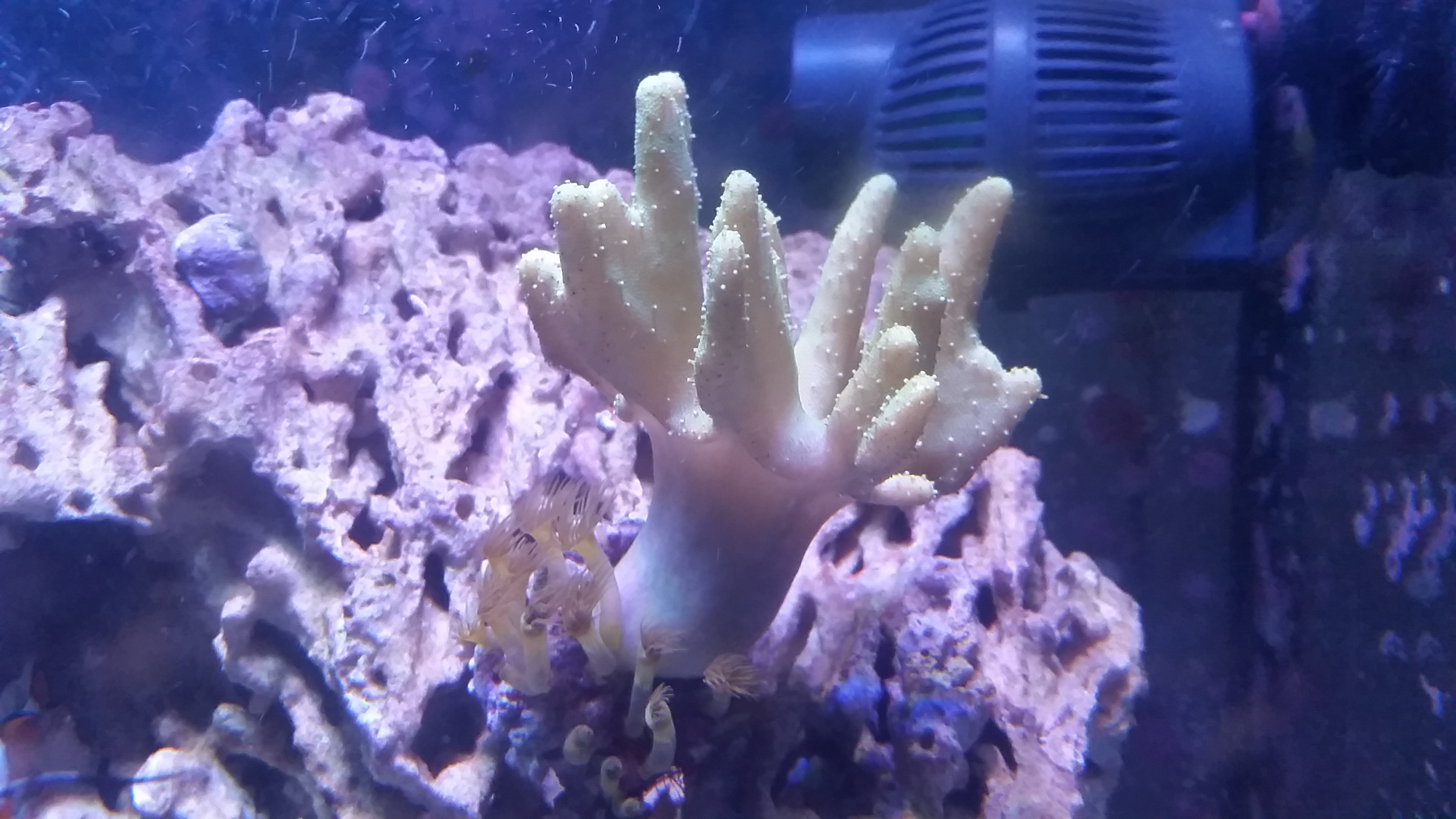 20161129_224638.jpg