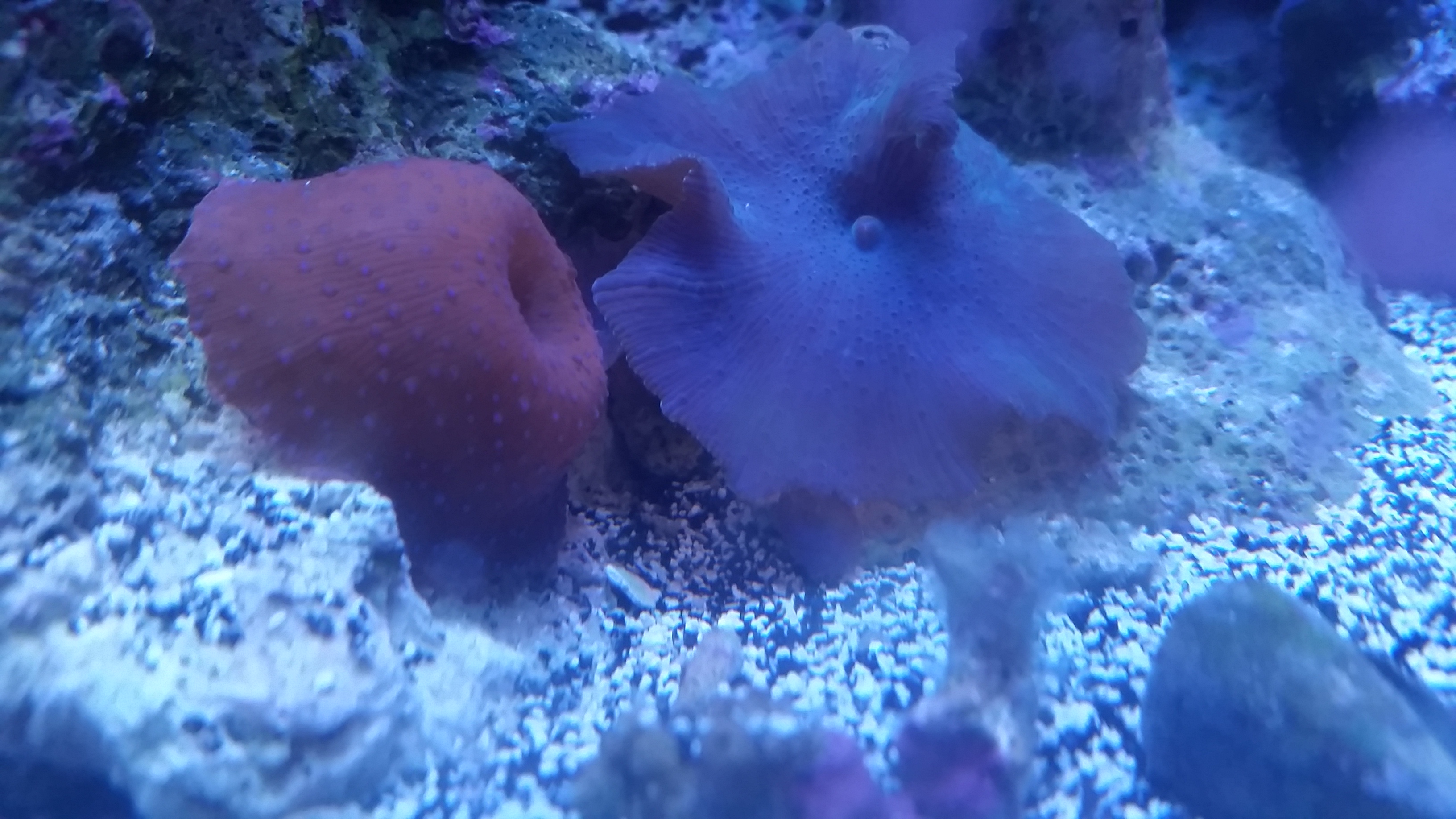20161129_230146.jpg