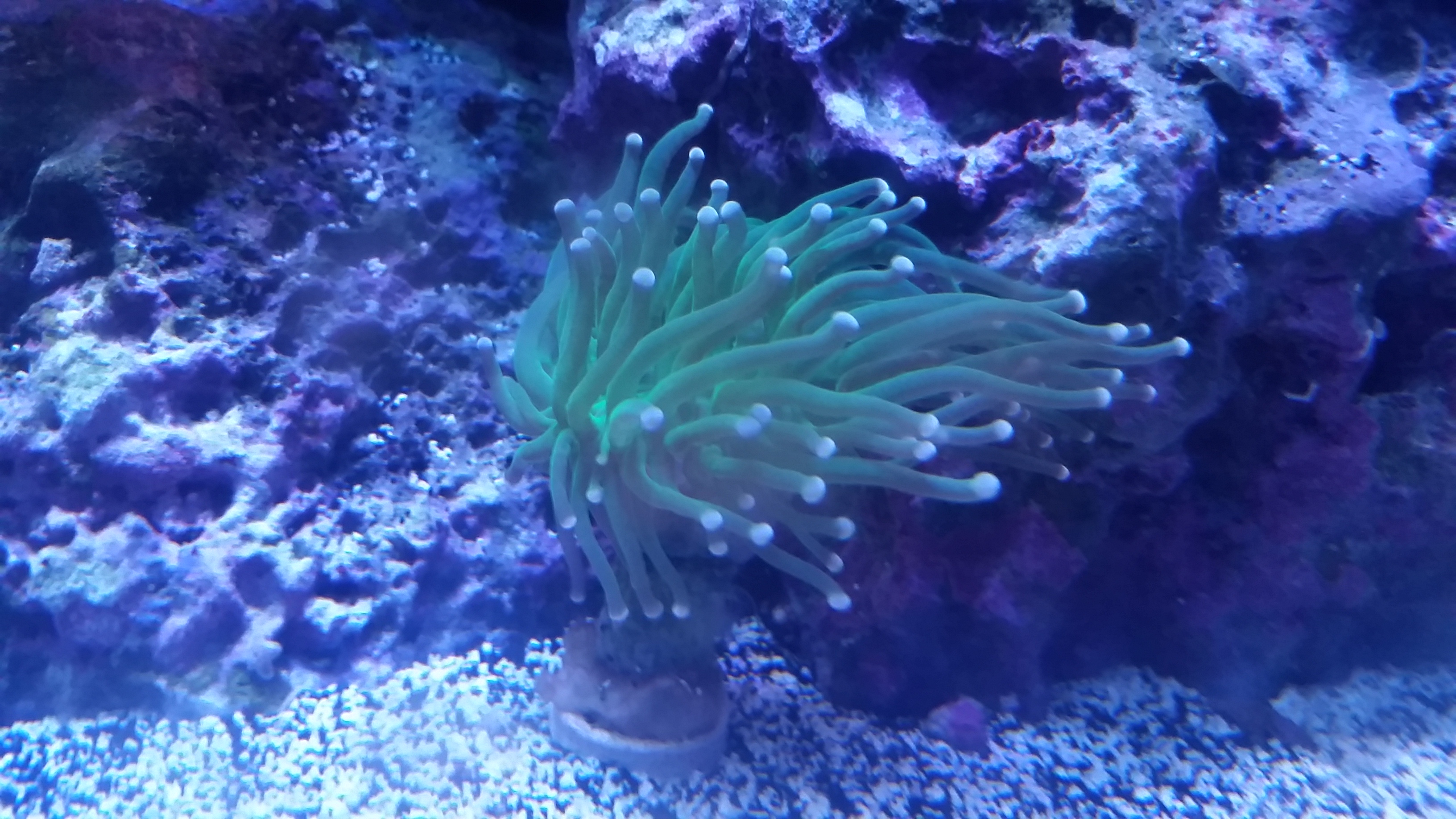 20161129_230151.jpg
