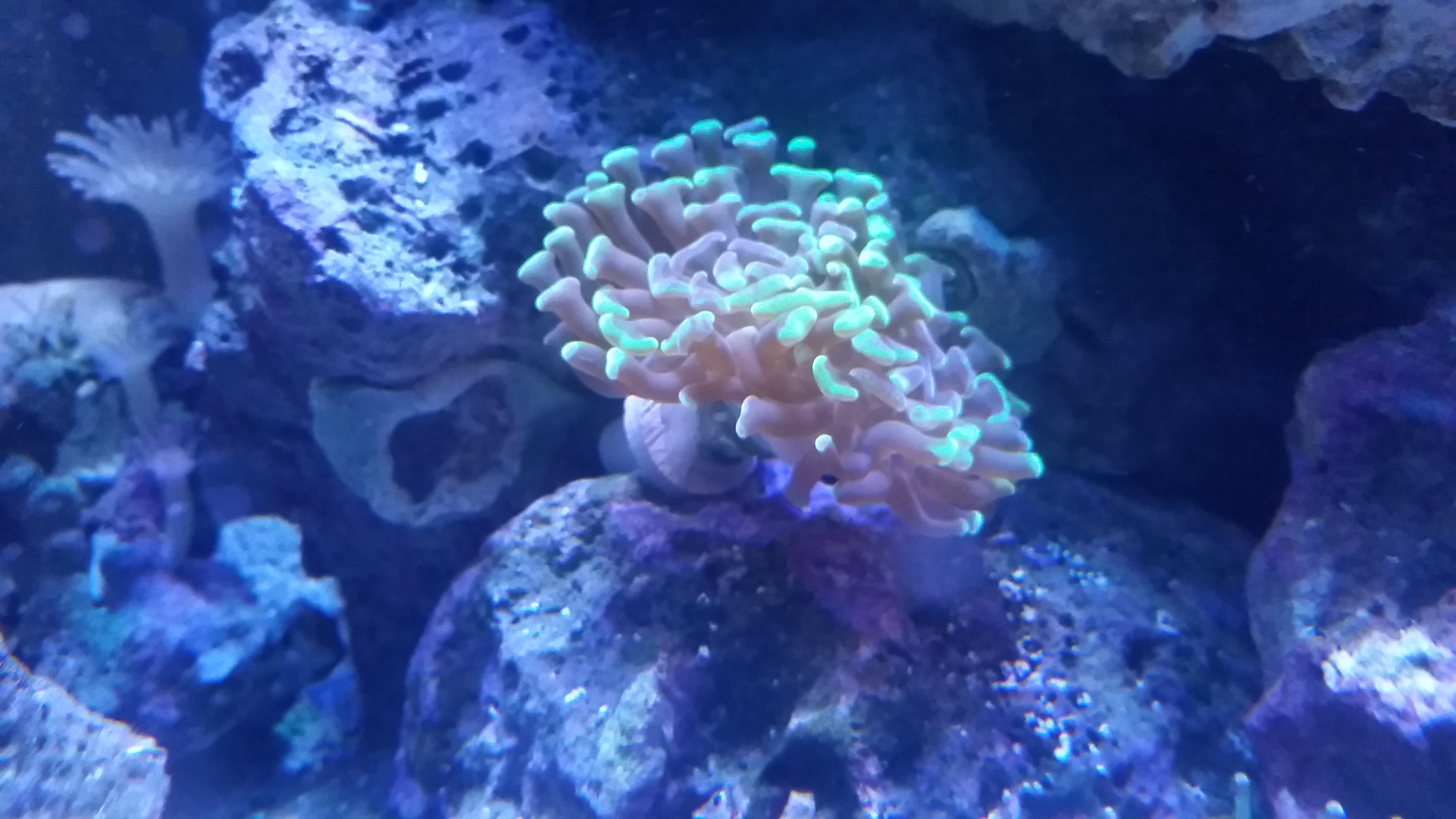 20161129_230155.jpg