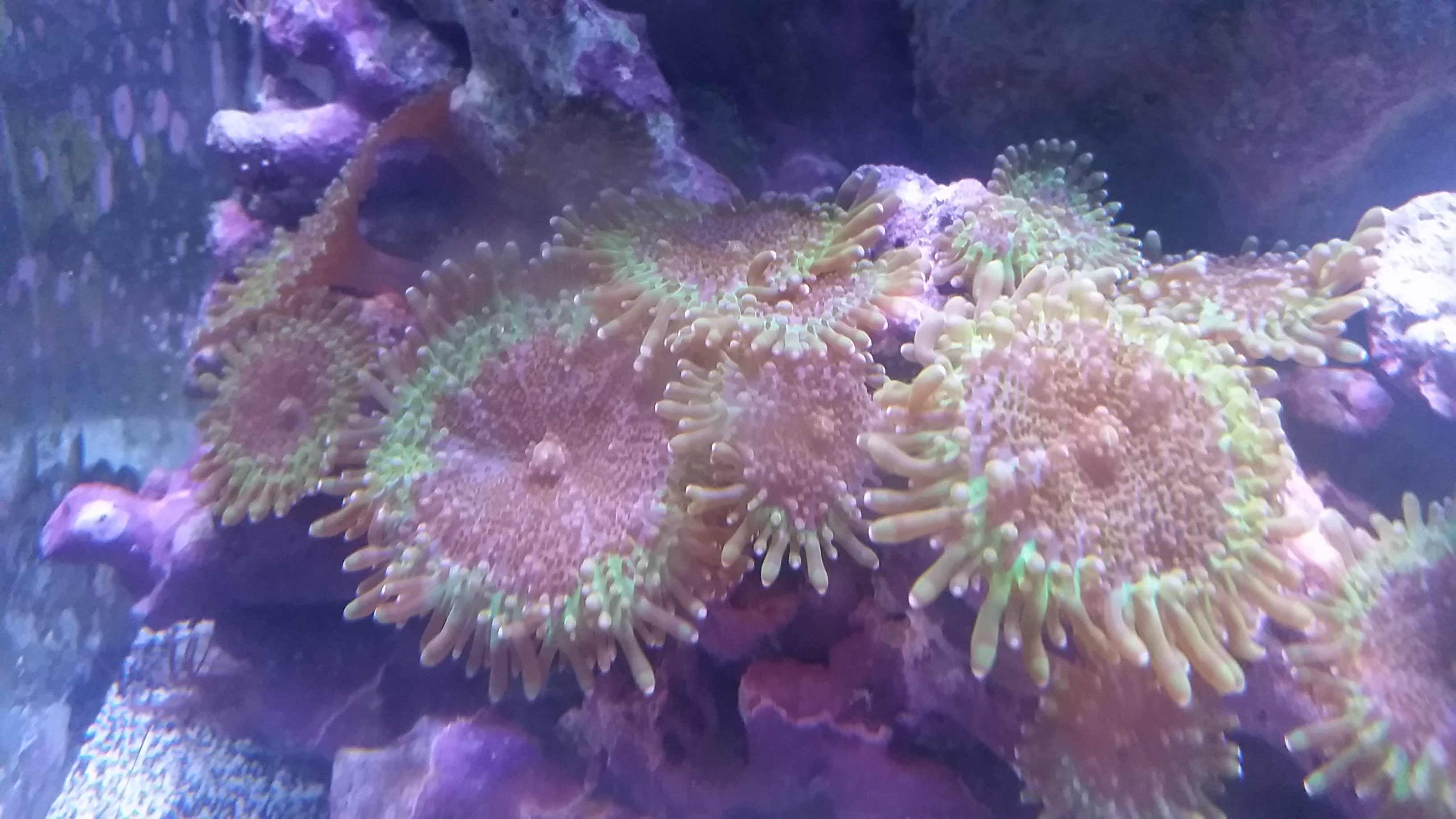 20161129_230211.jpg