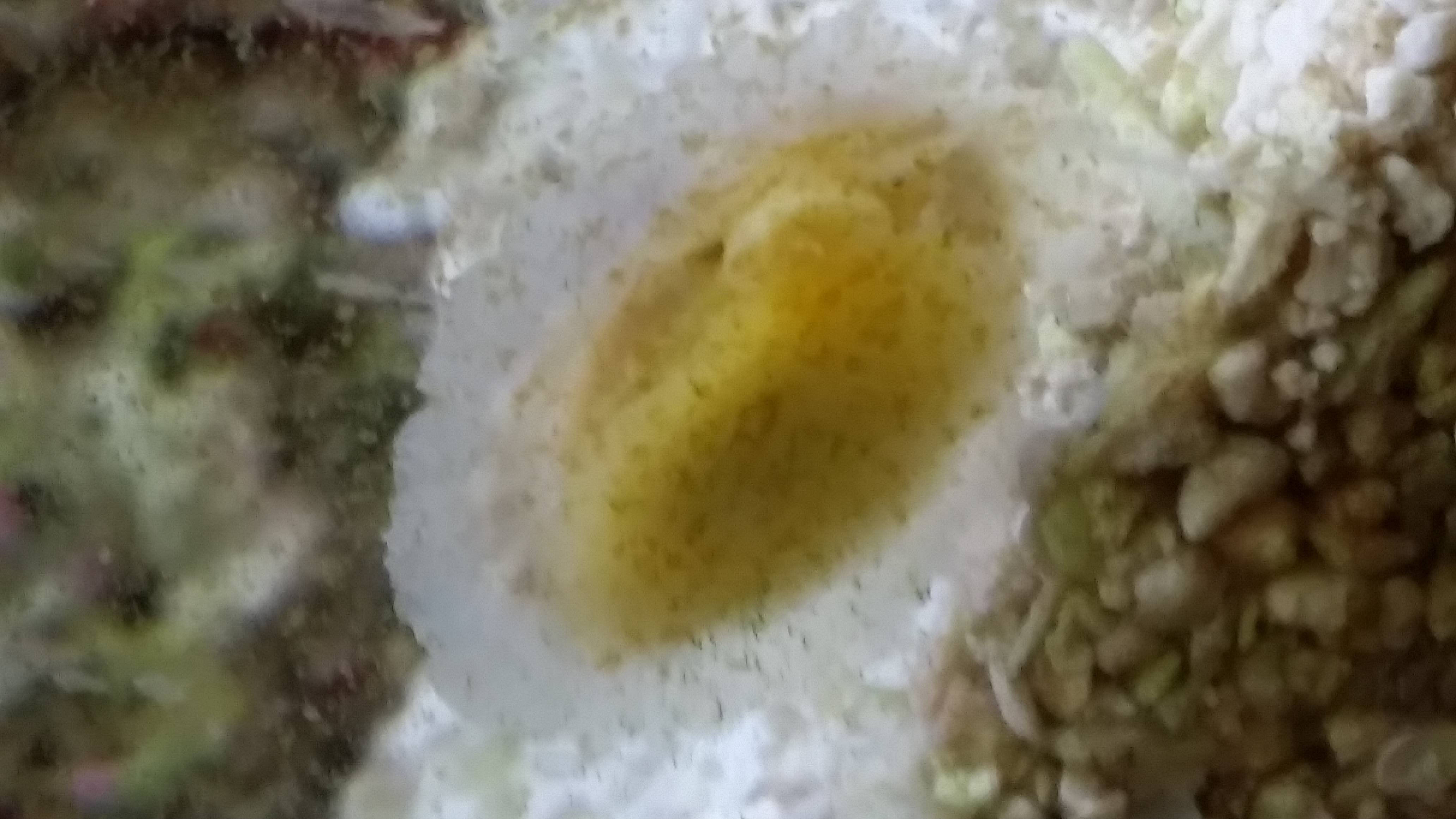 20161210_131510.jpg