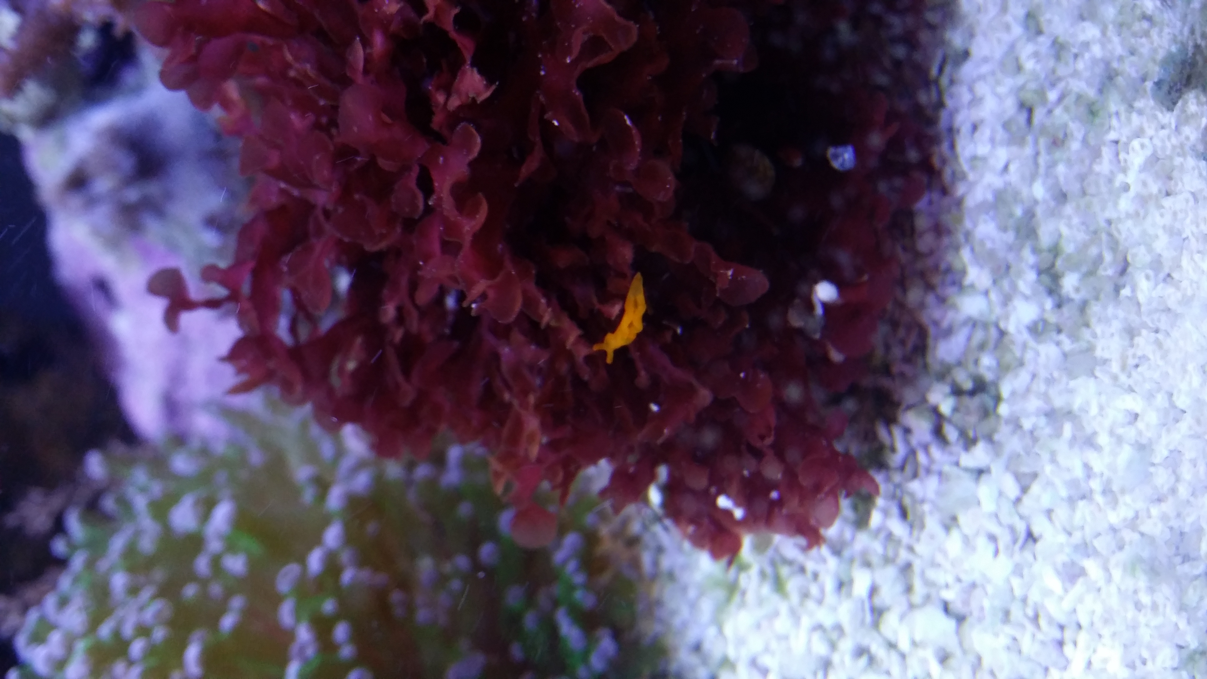 20161212_202358.jpg