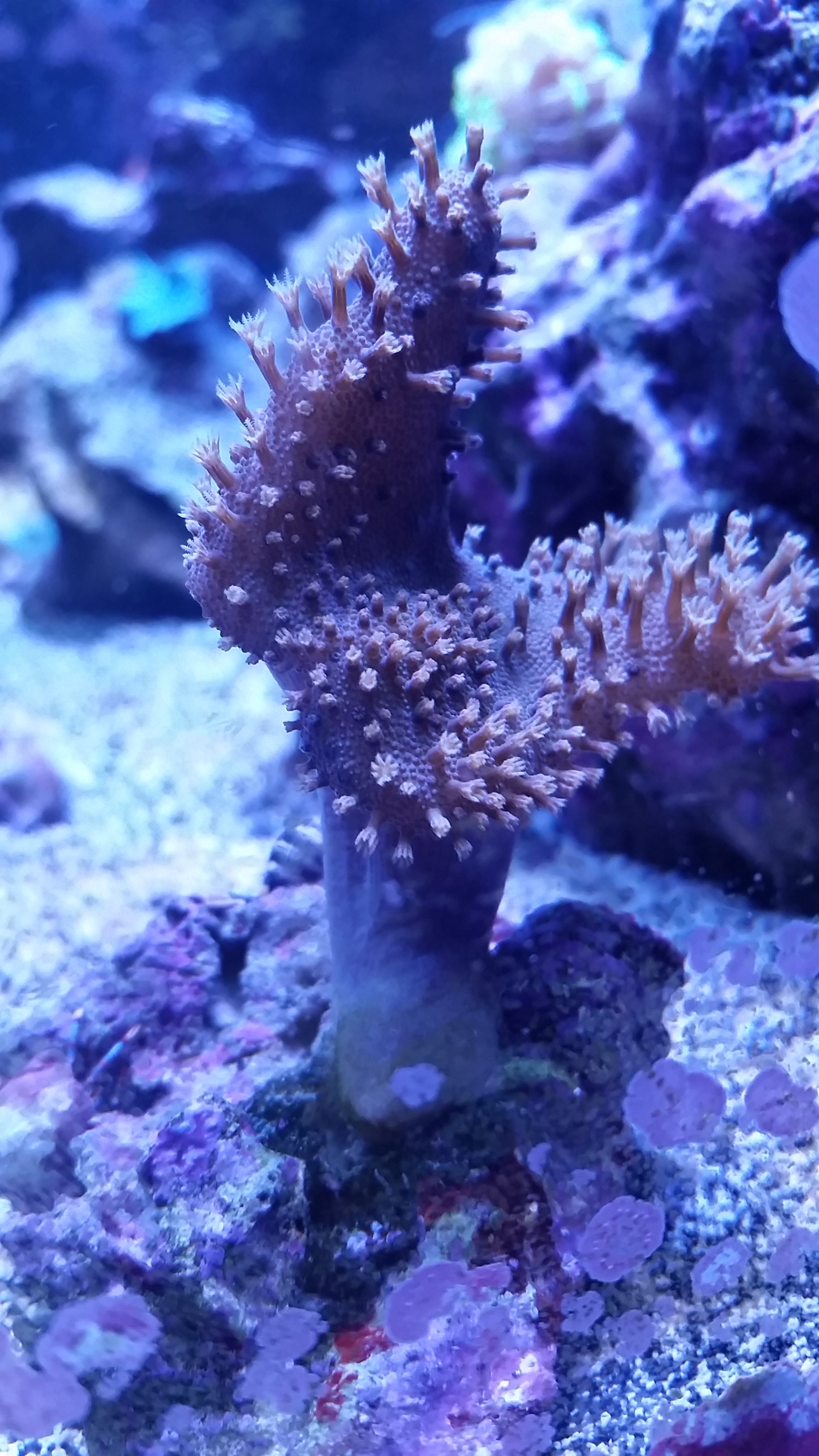 20161229_153357.jpg