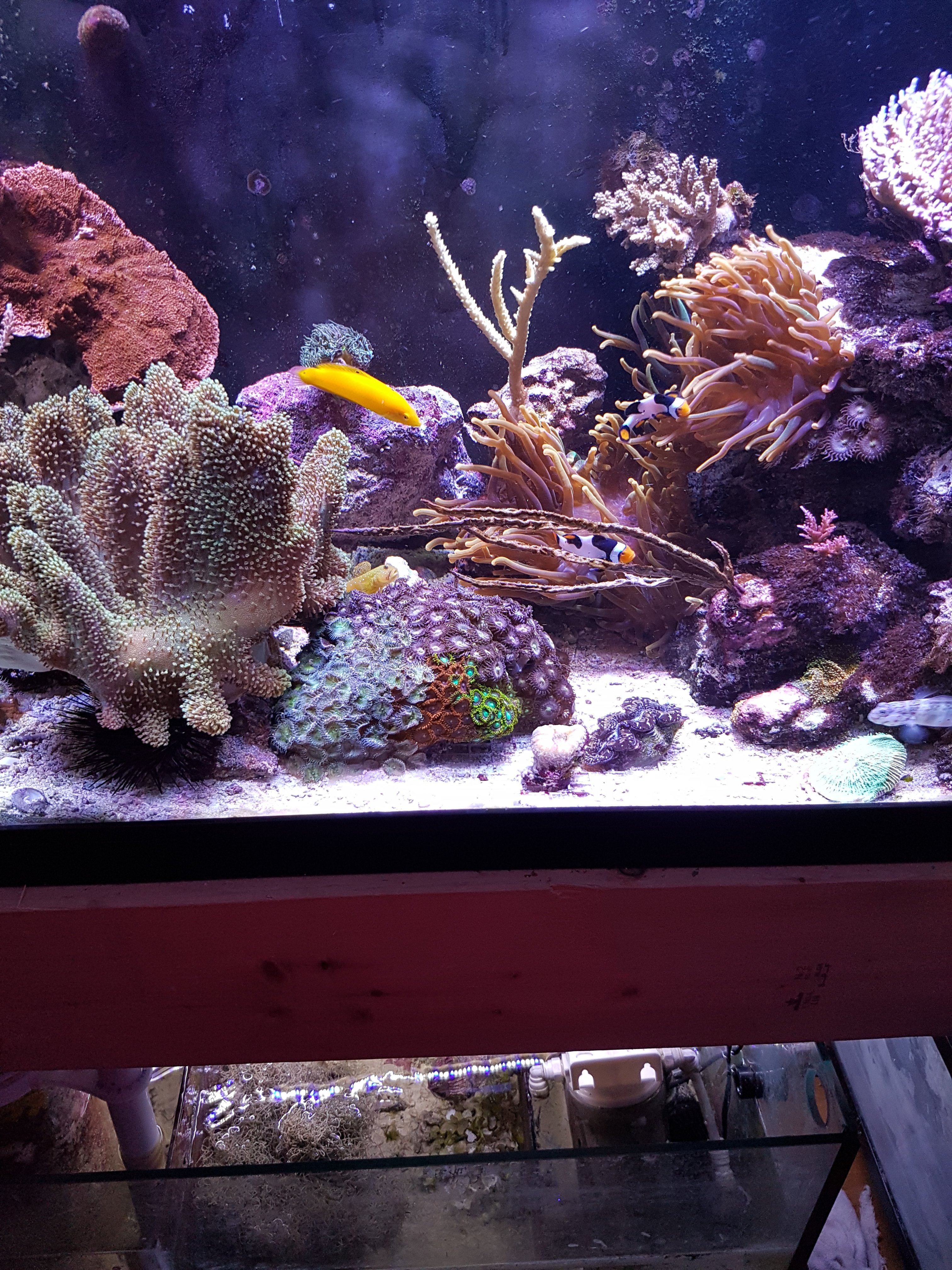 20170115_143201.jpg