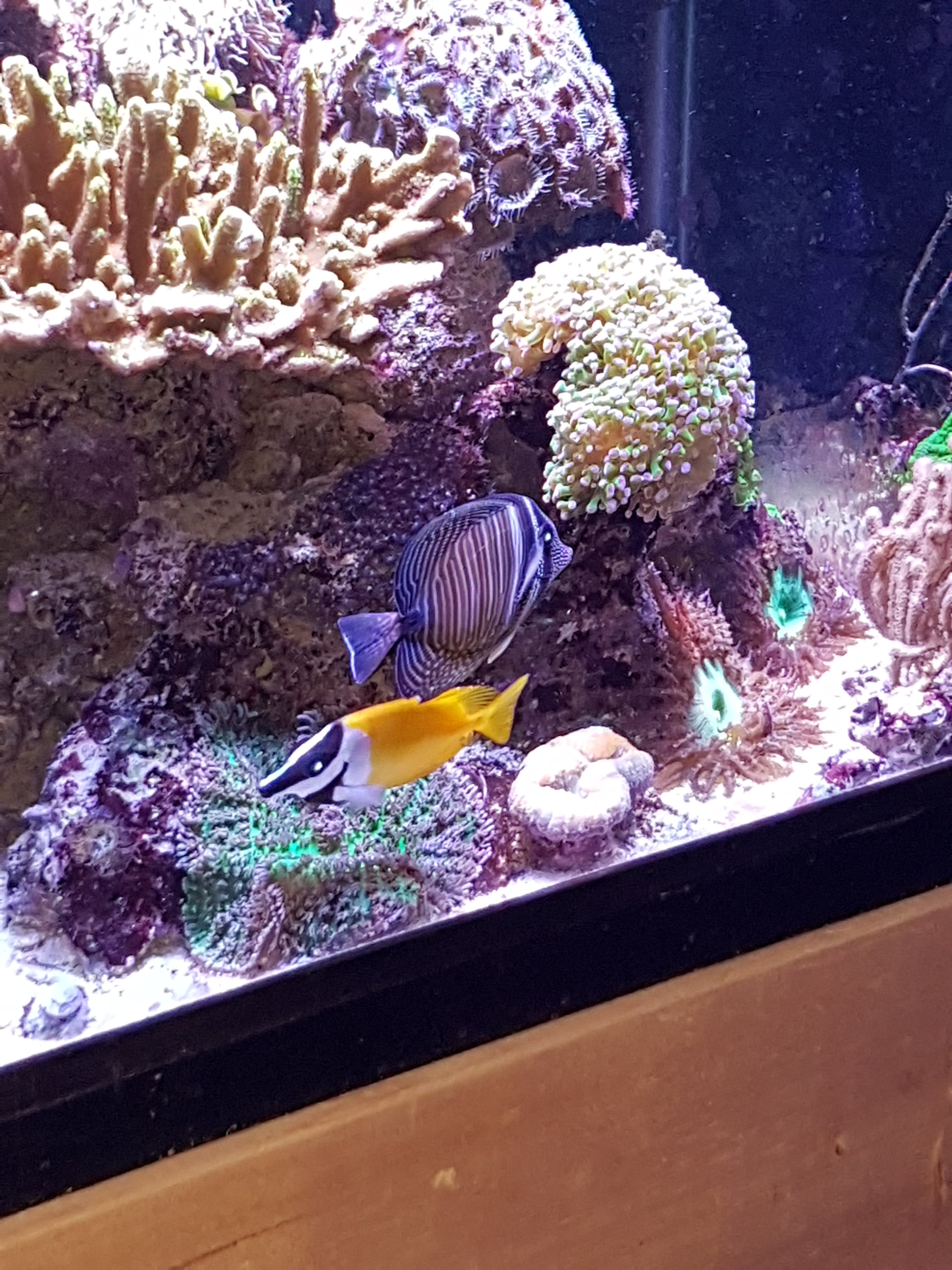 20170205_121501.jpg