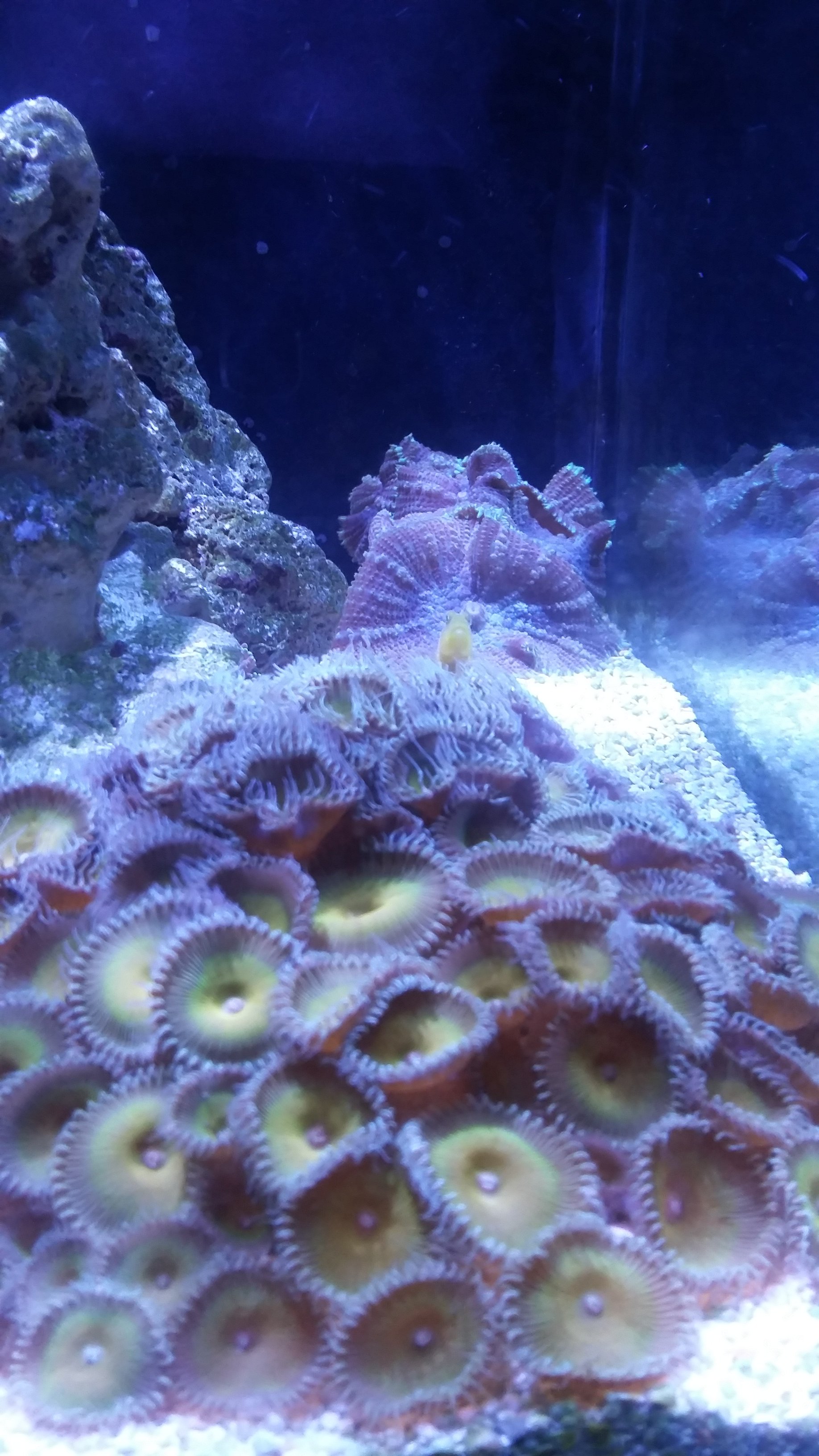 20170223_103357.jpg