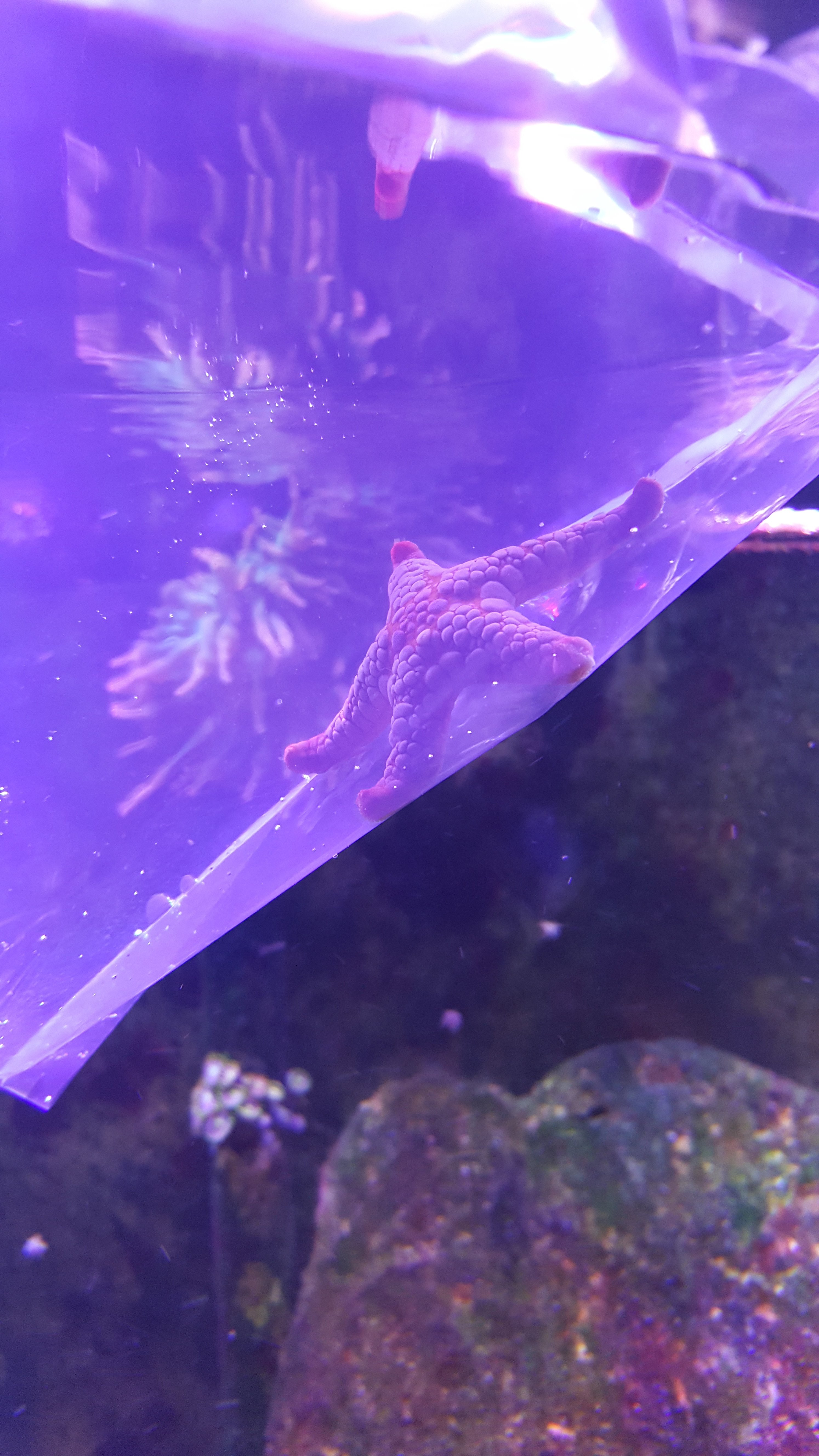 20170304_130733.jpg