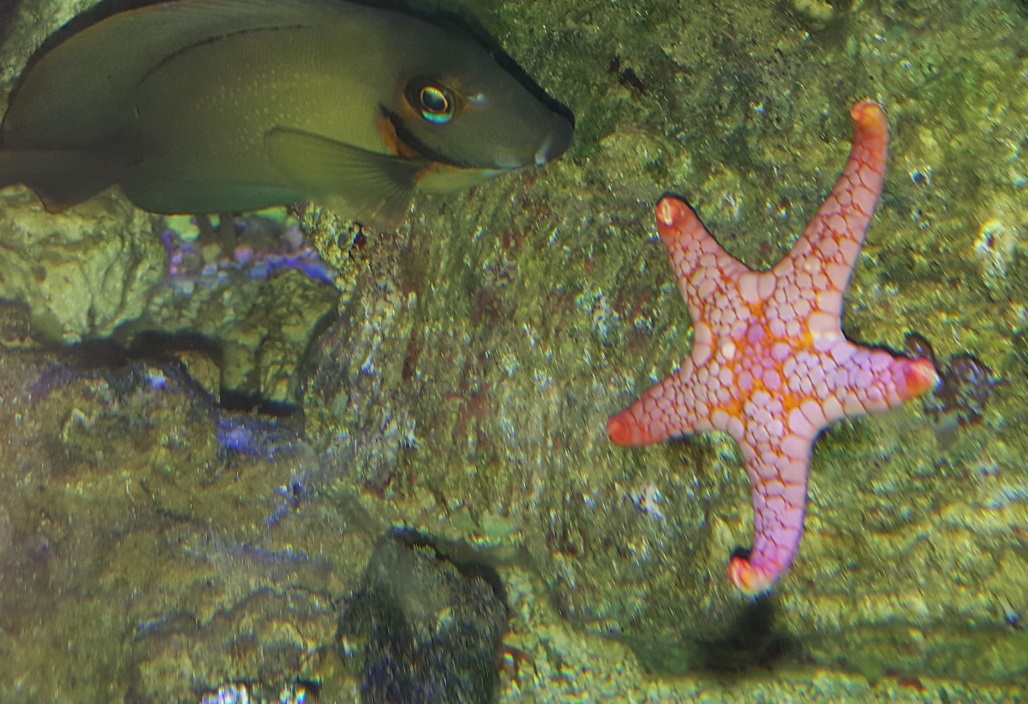 20170317_114308.jpg