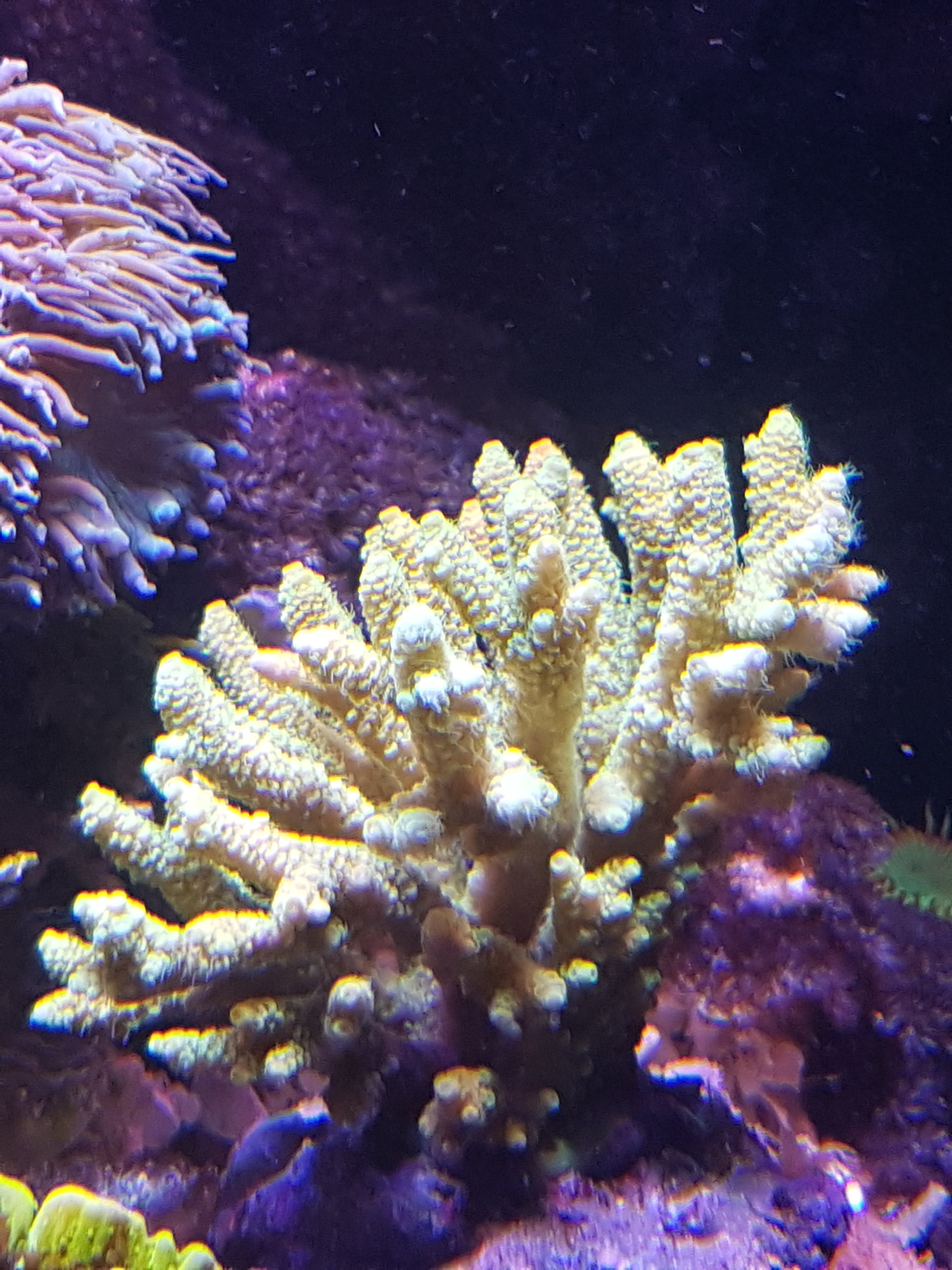 20170318_173915.jpg