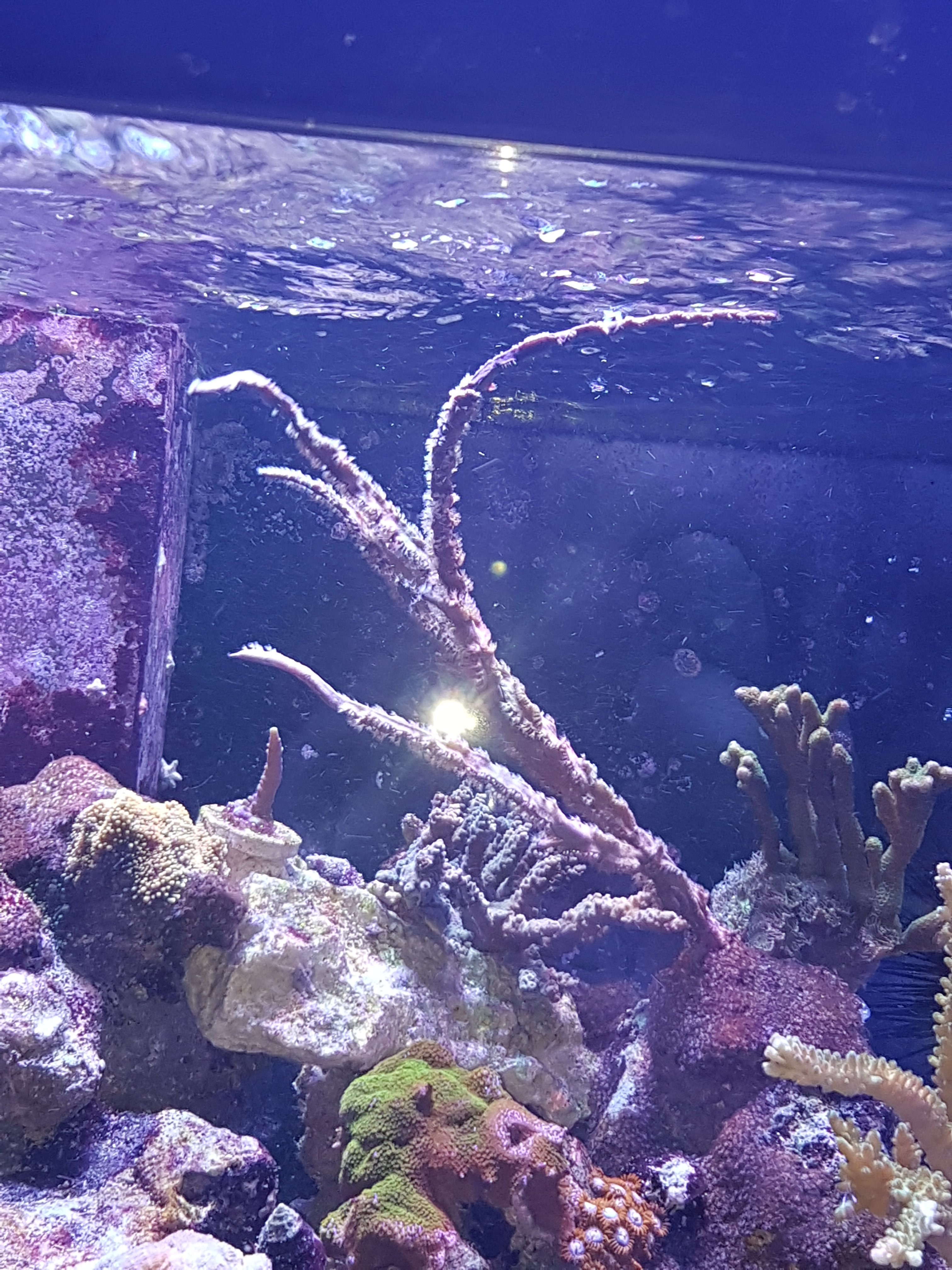 20170423_153032.jpg