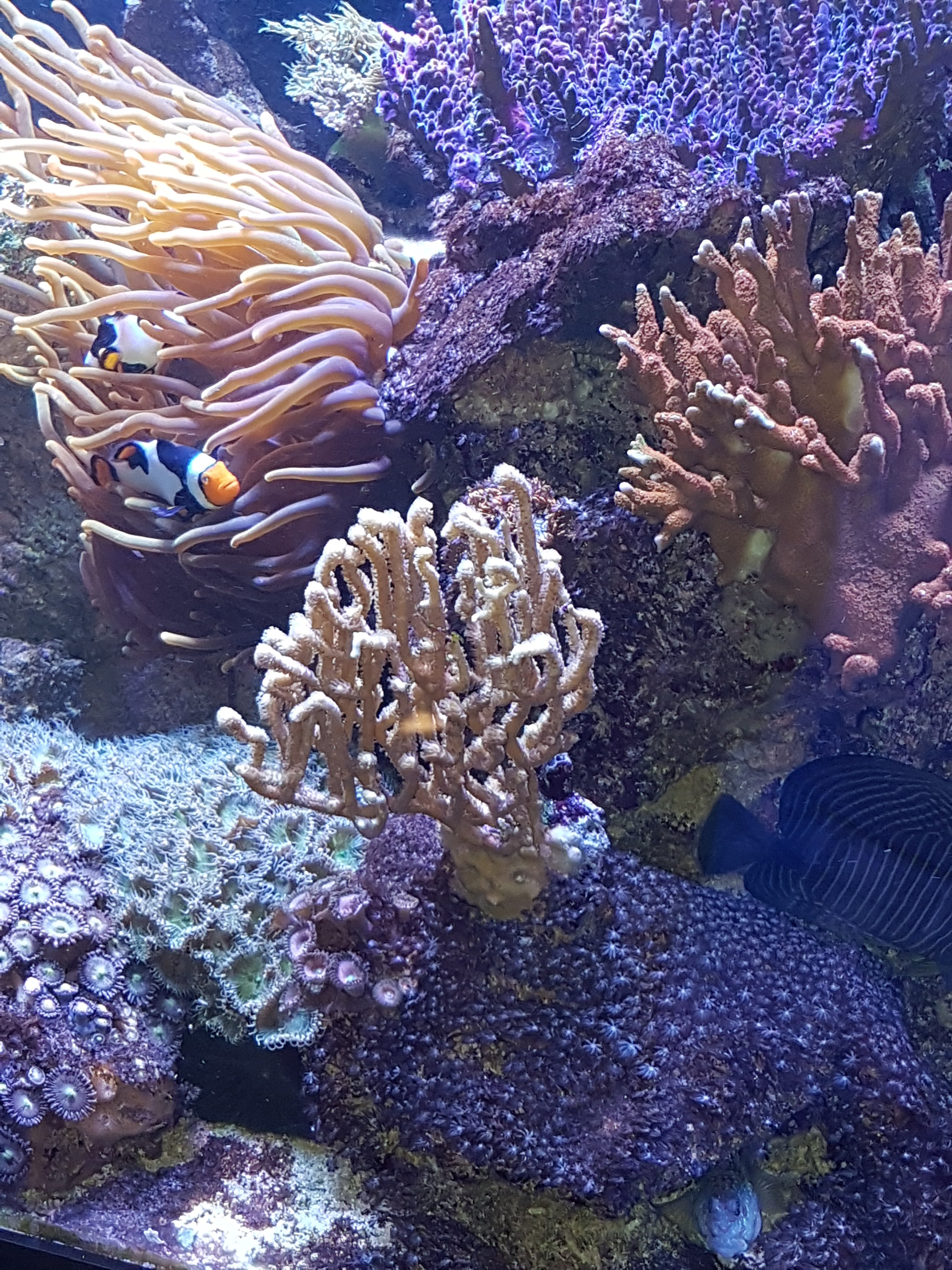20170423_153044.jpg