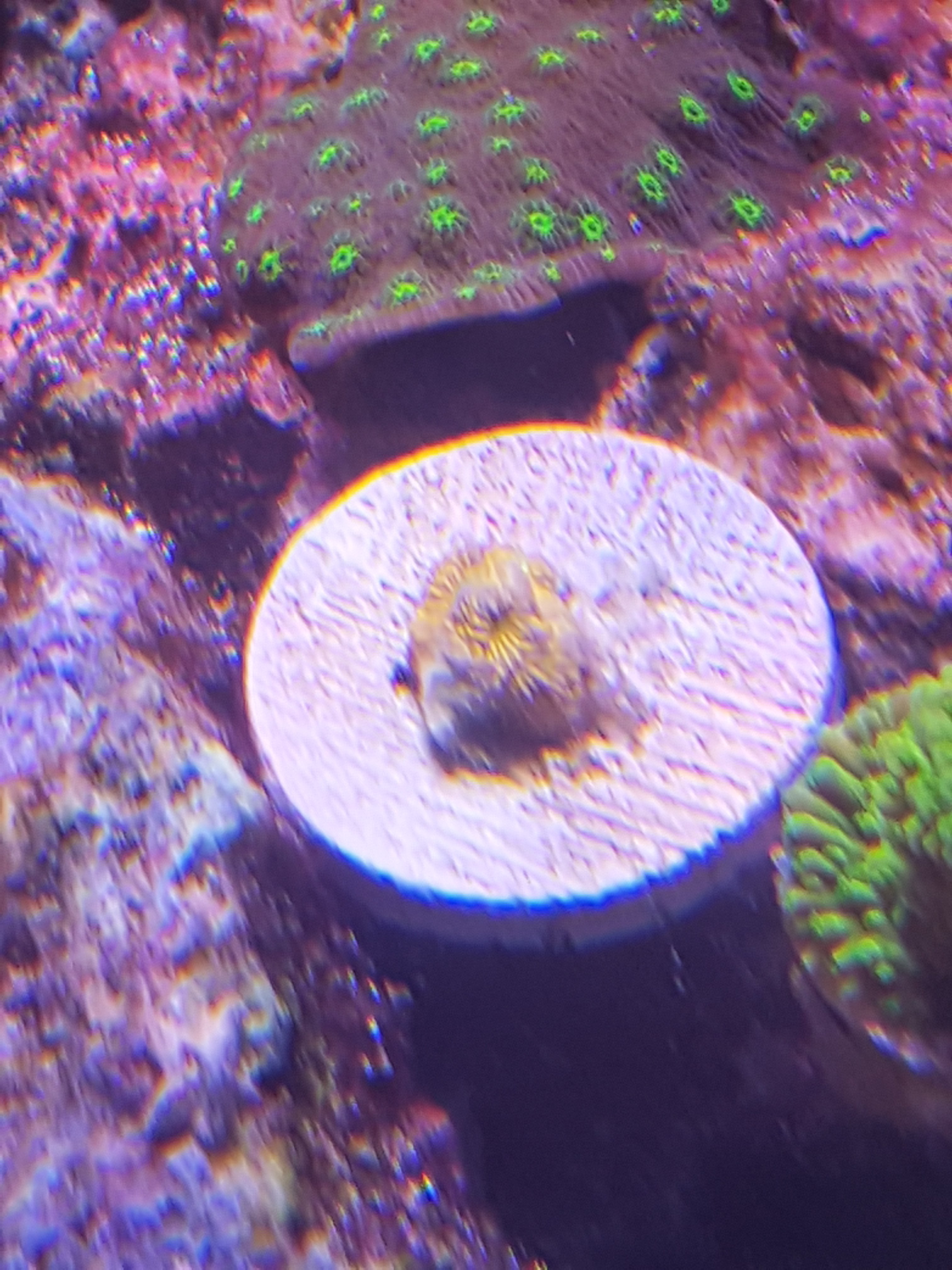 20170625_183942.jpg